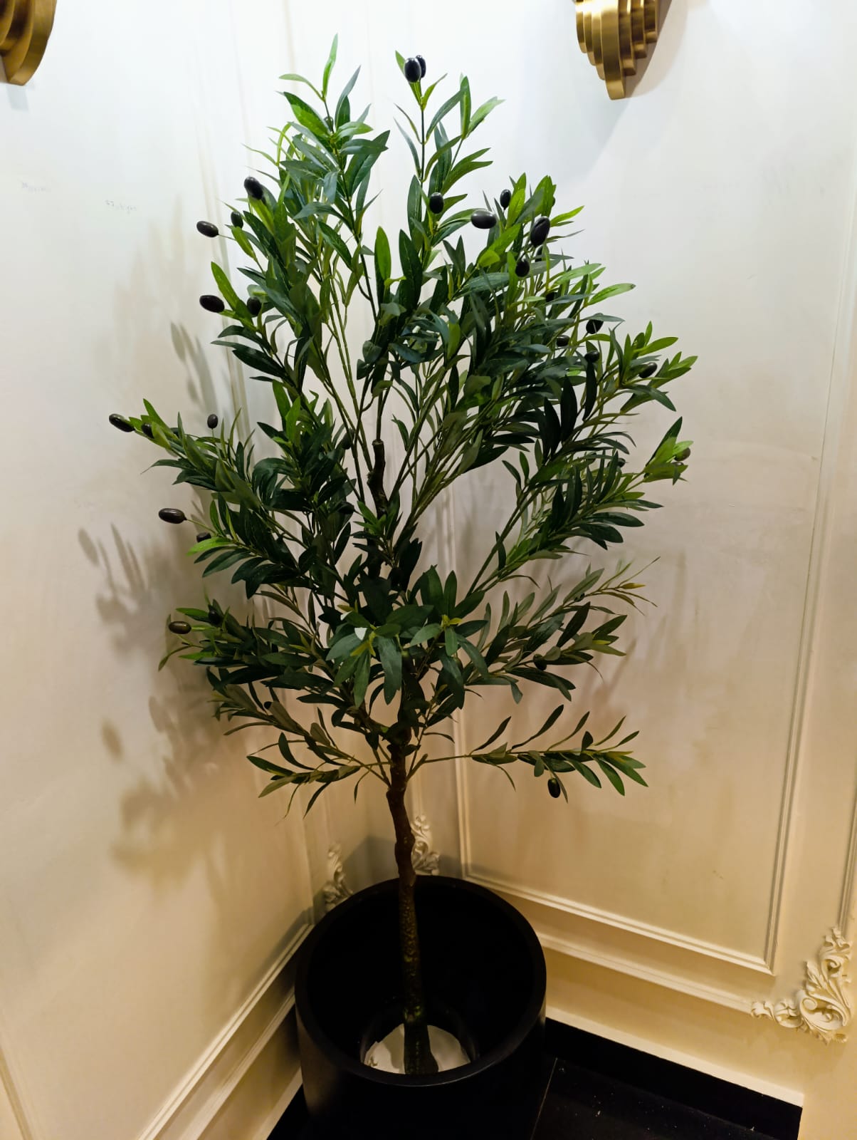 Exclusive Olive Tree