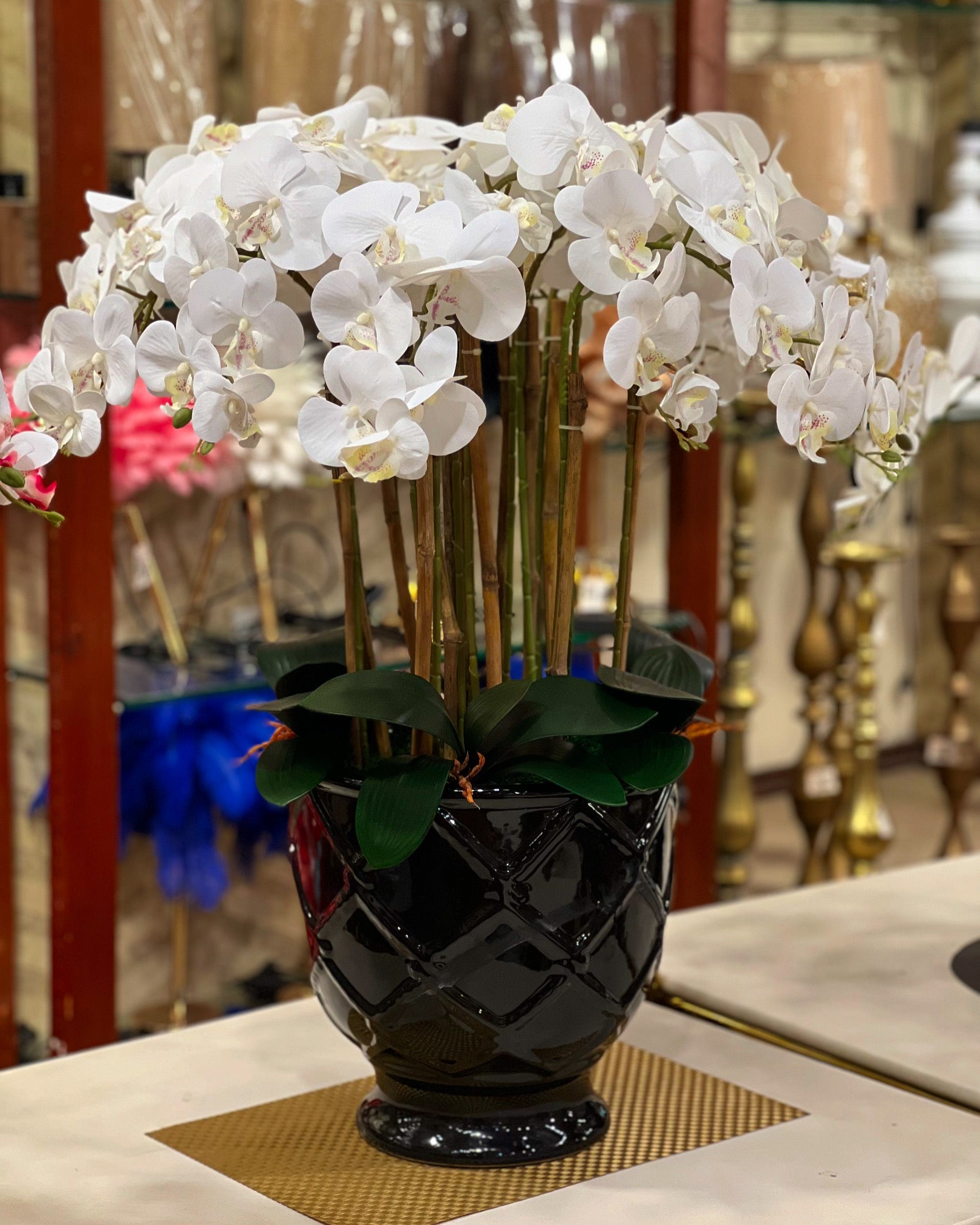 Ceramic Pot Orchid