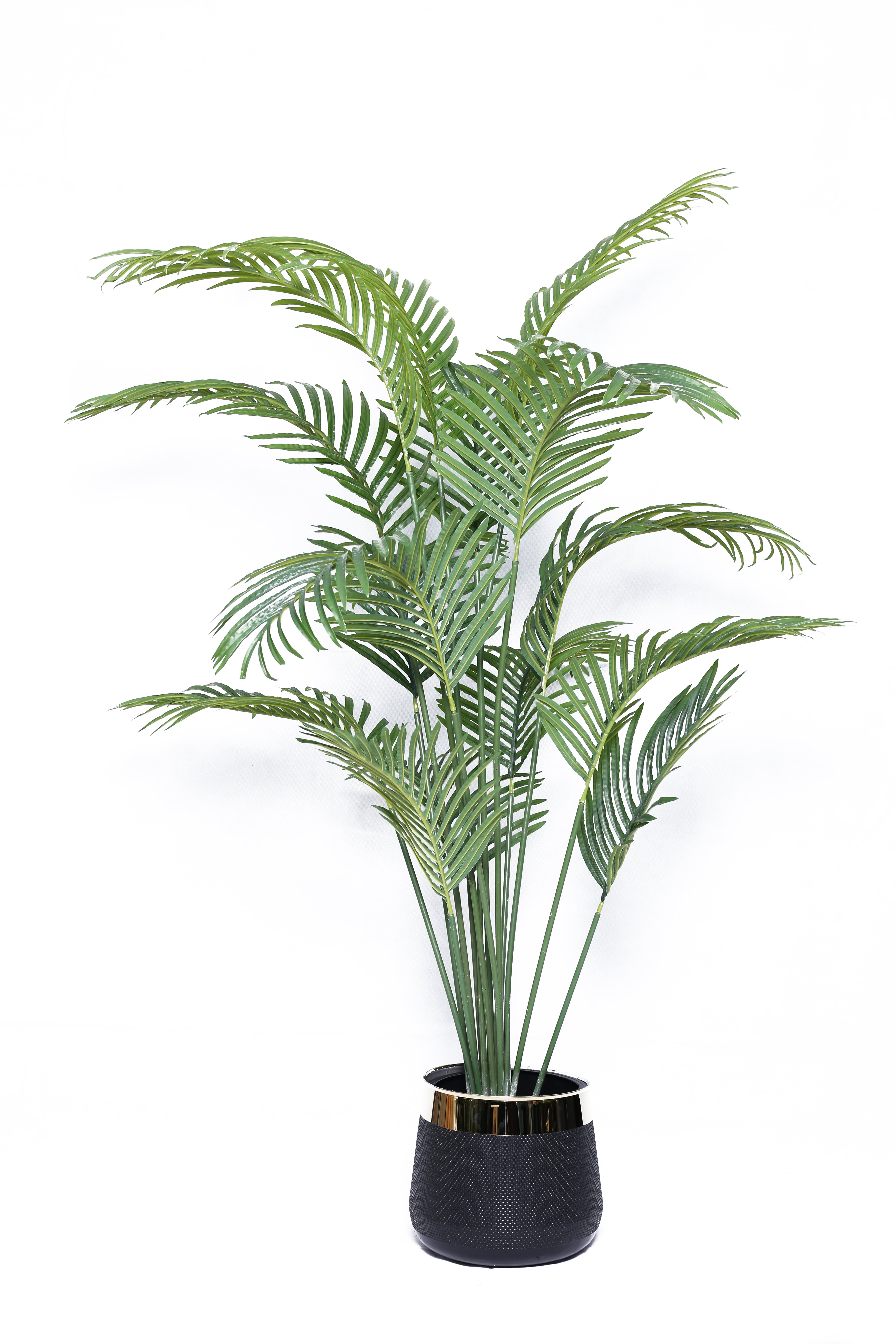 Areca Palm with Gold Strip Planter