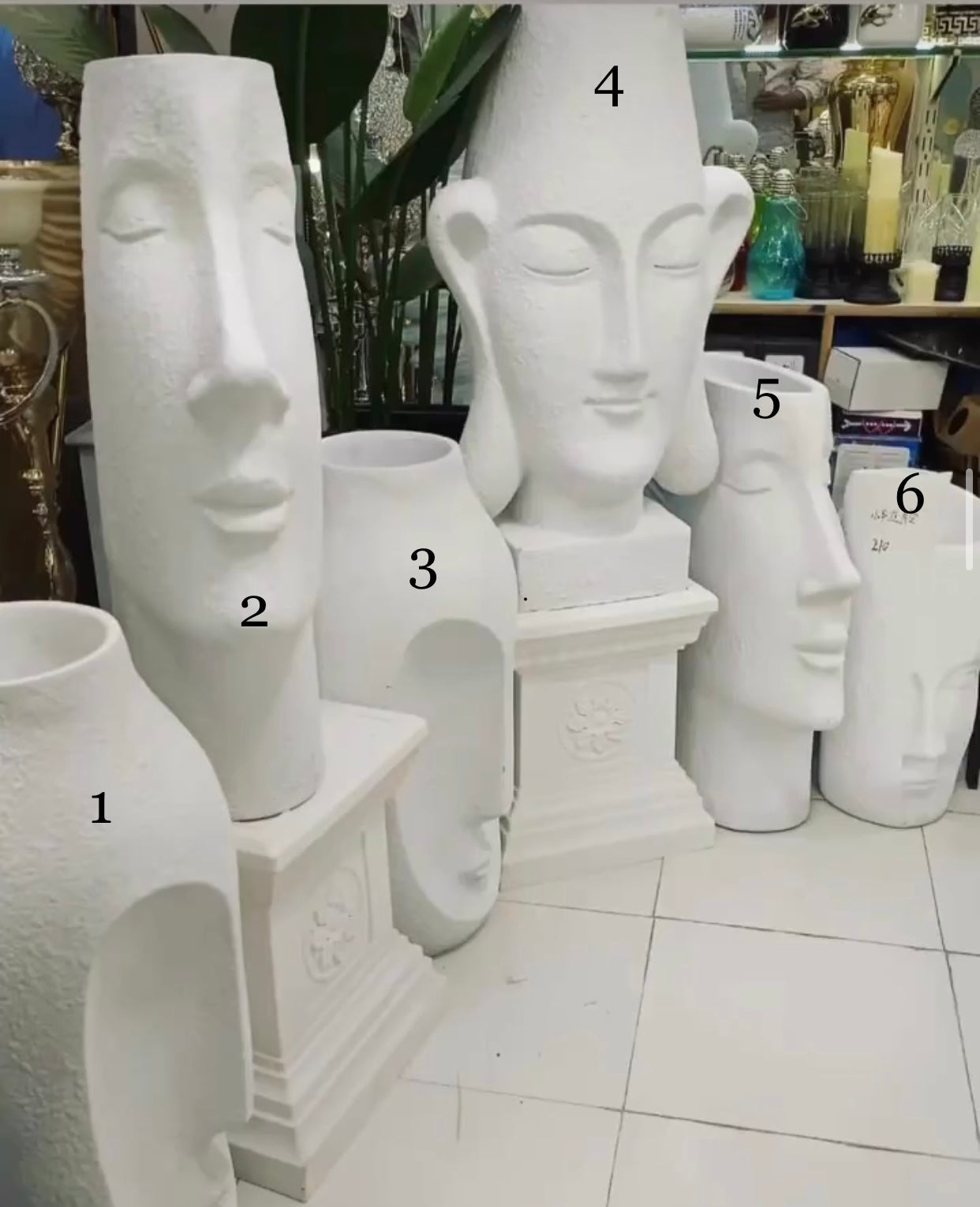 Face Planter