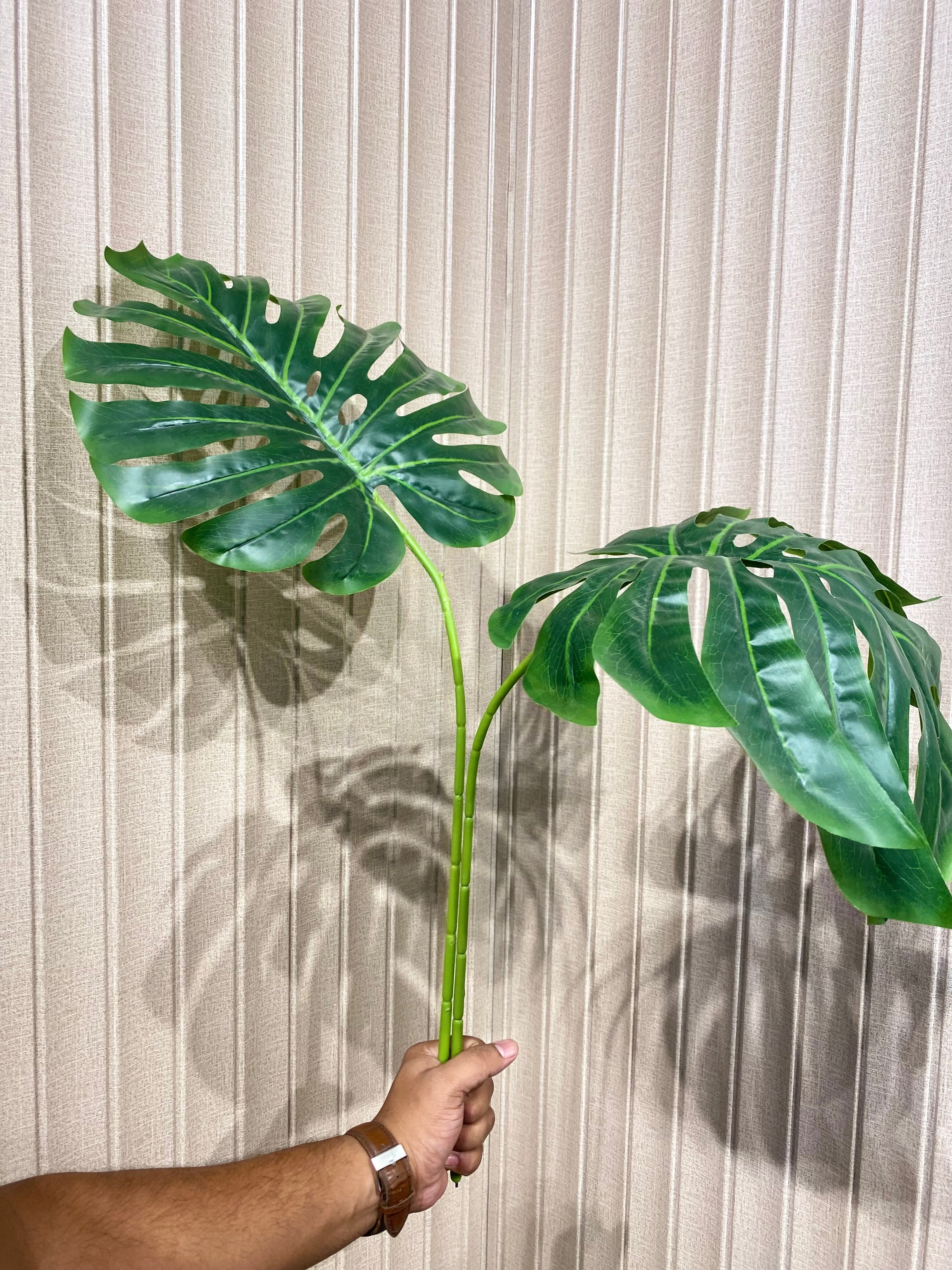 Elite monstera Leaf