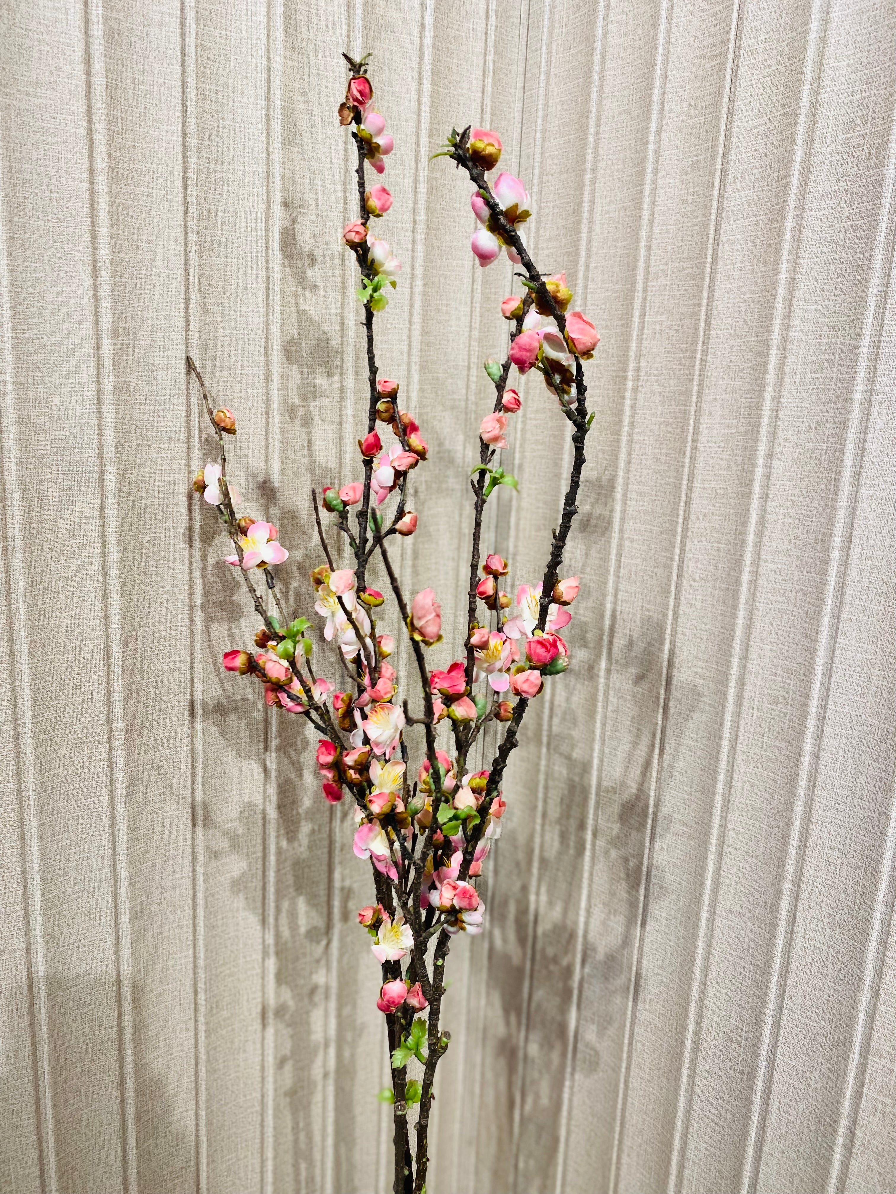 Elite Cherry blossom sticks