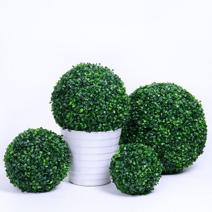 Exclusive Topiaries