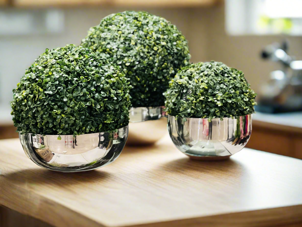 Exclusive Steel bowl Topiaries