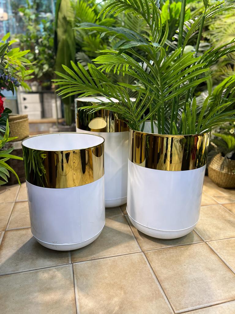 Steel white gold Planter