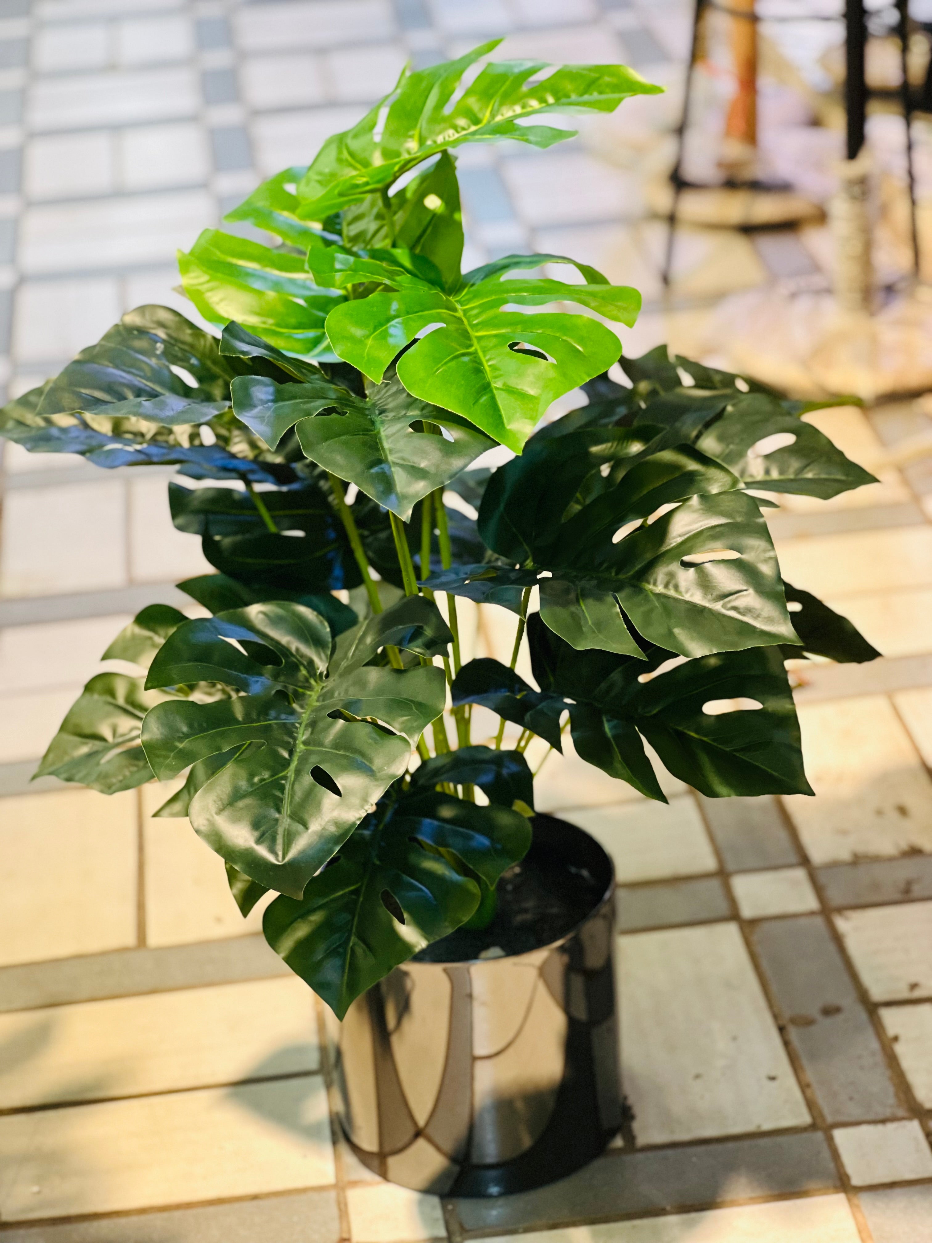 Steel Planters with plants