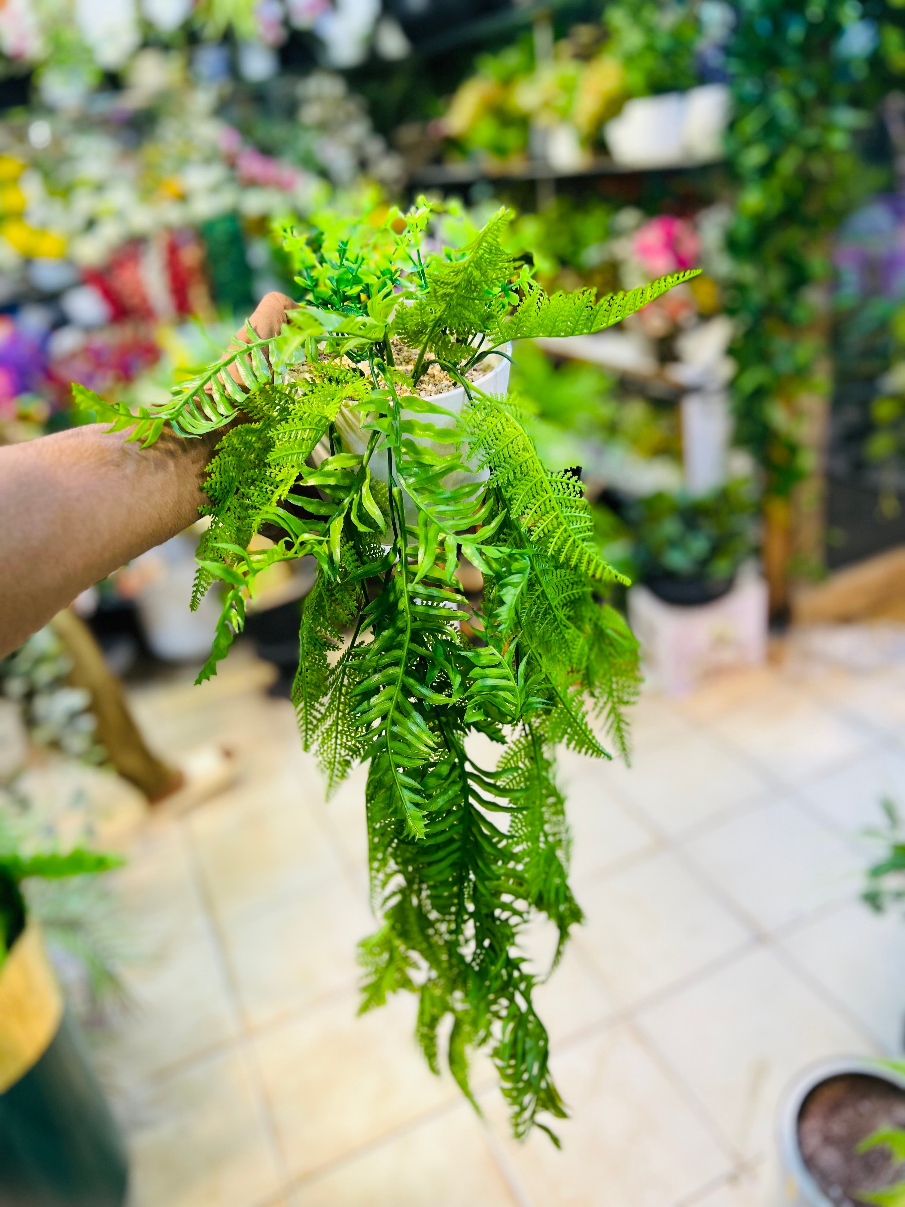 Hanging Wines With Pot