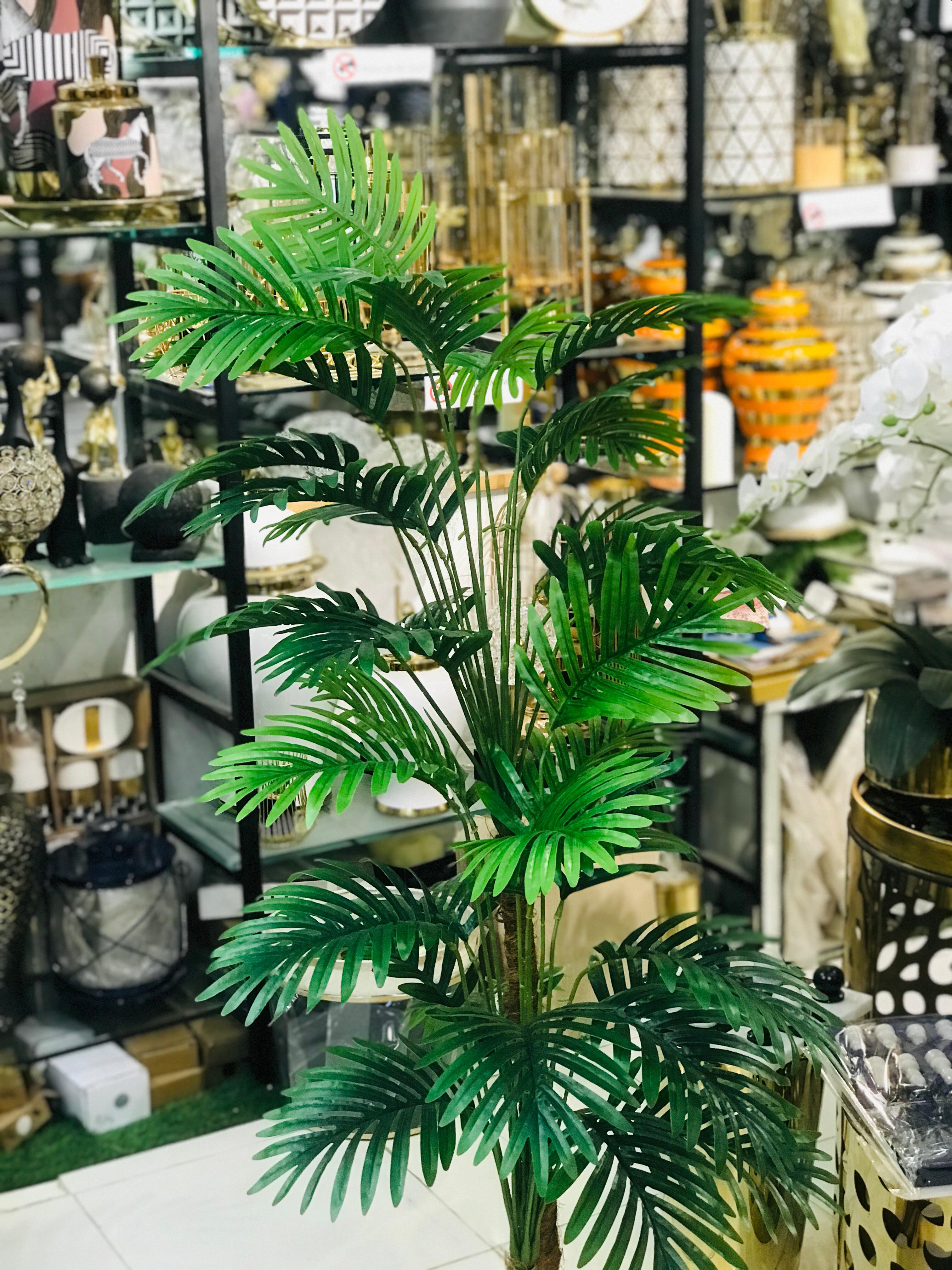 Double Palm 36”