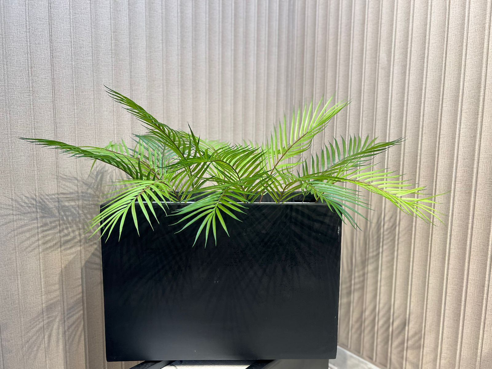 Areca With Horizontal Planter