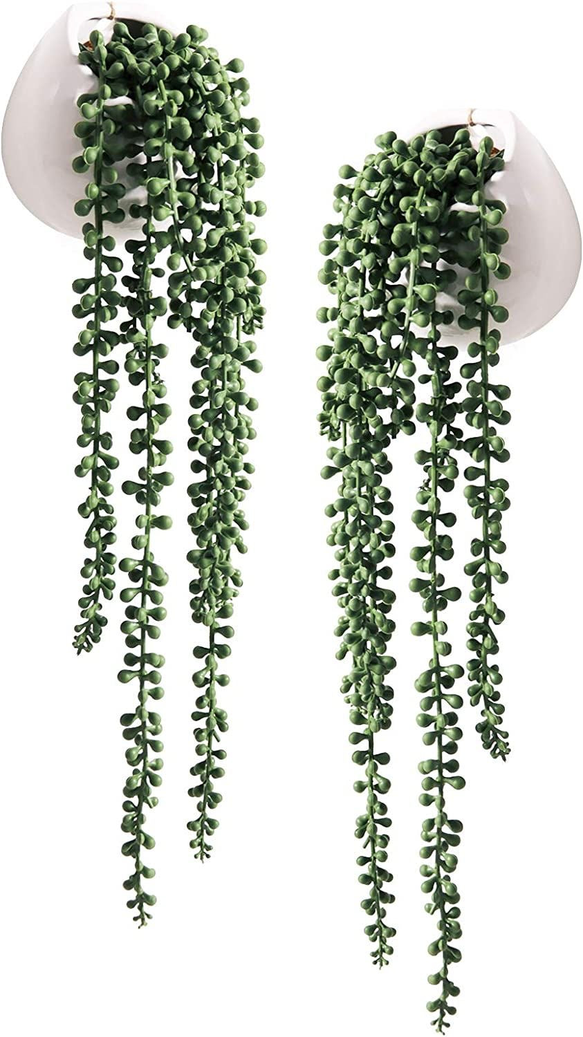 Pearls hanging pot