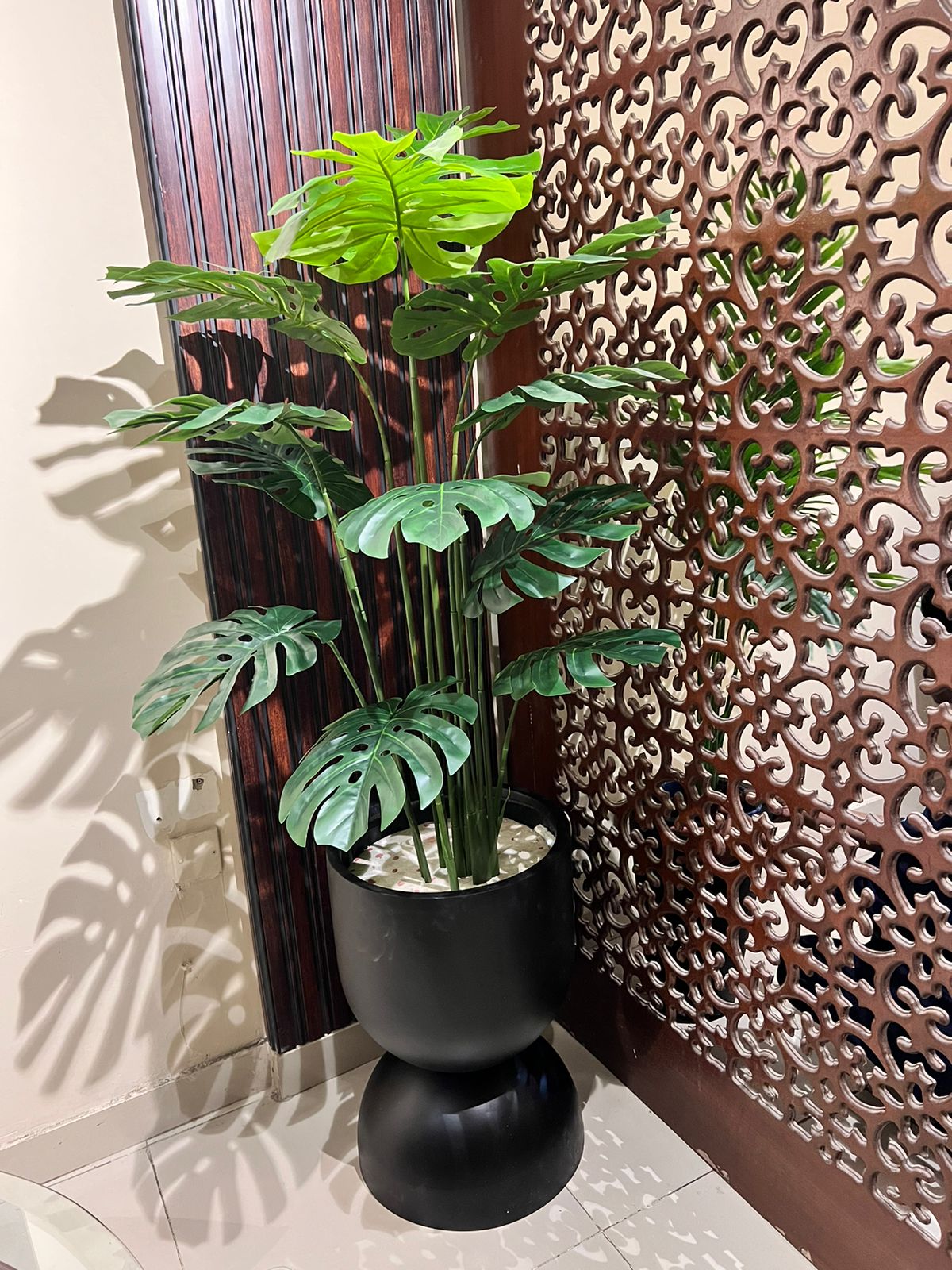 Monstera Plant with Planter