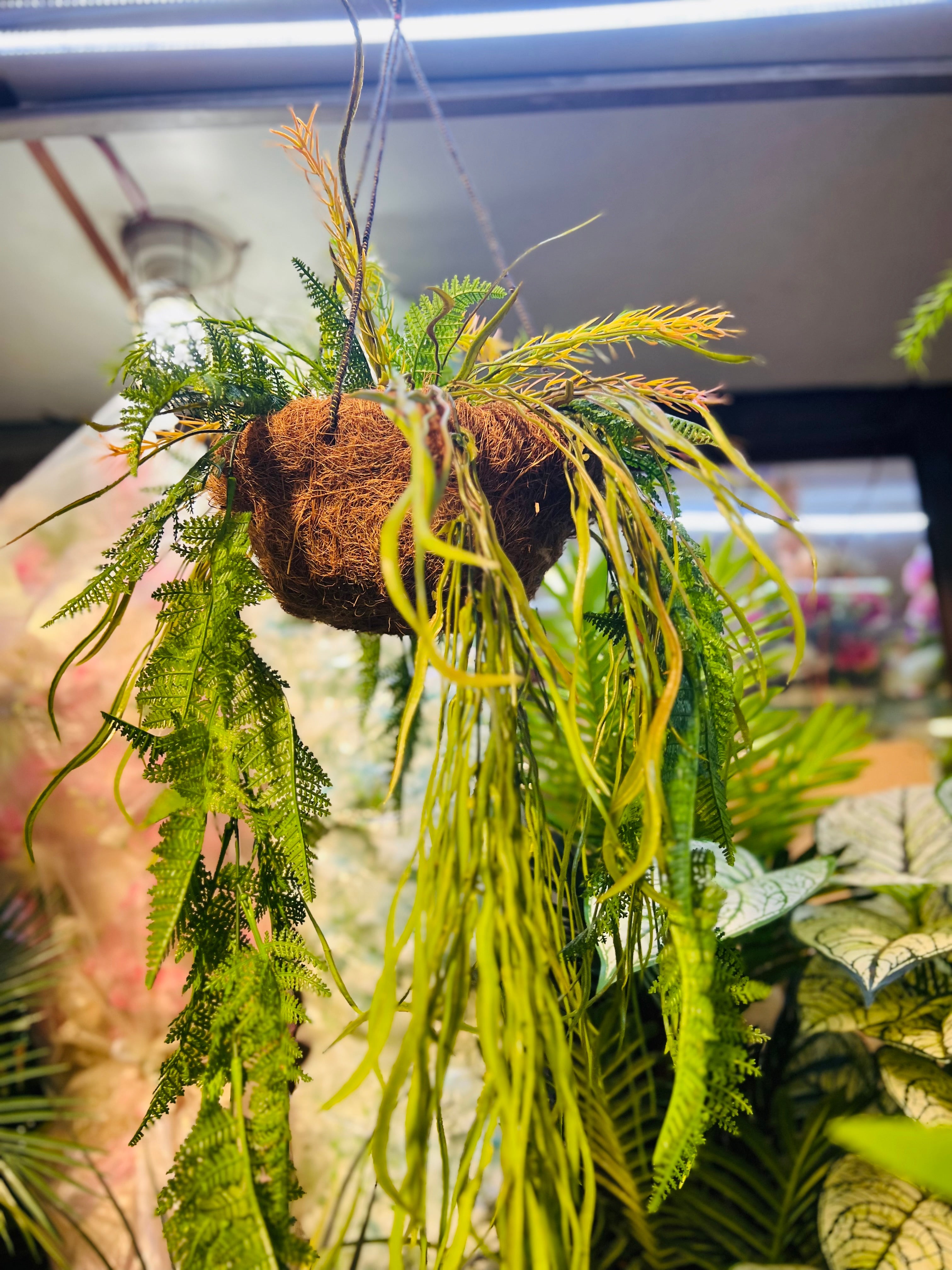 Hanging jute baskets