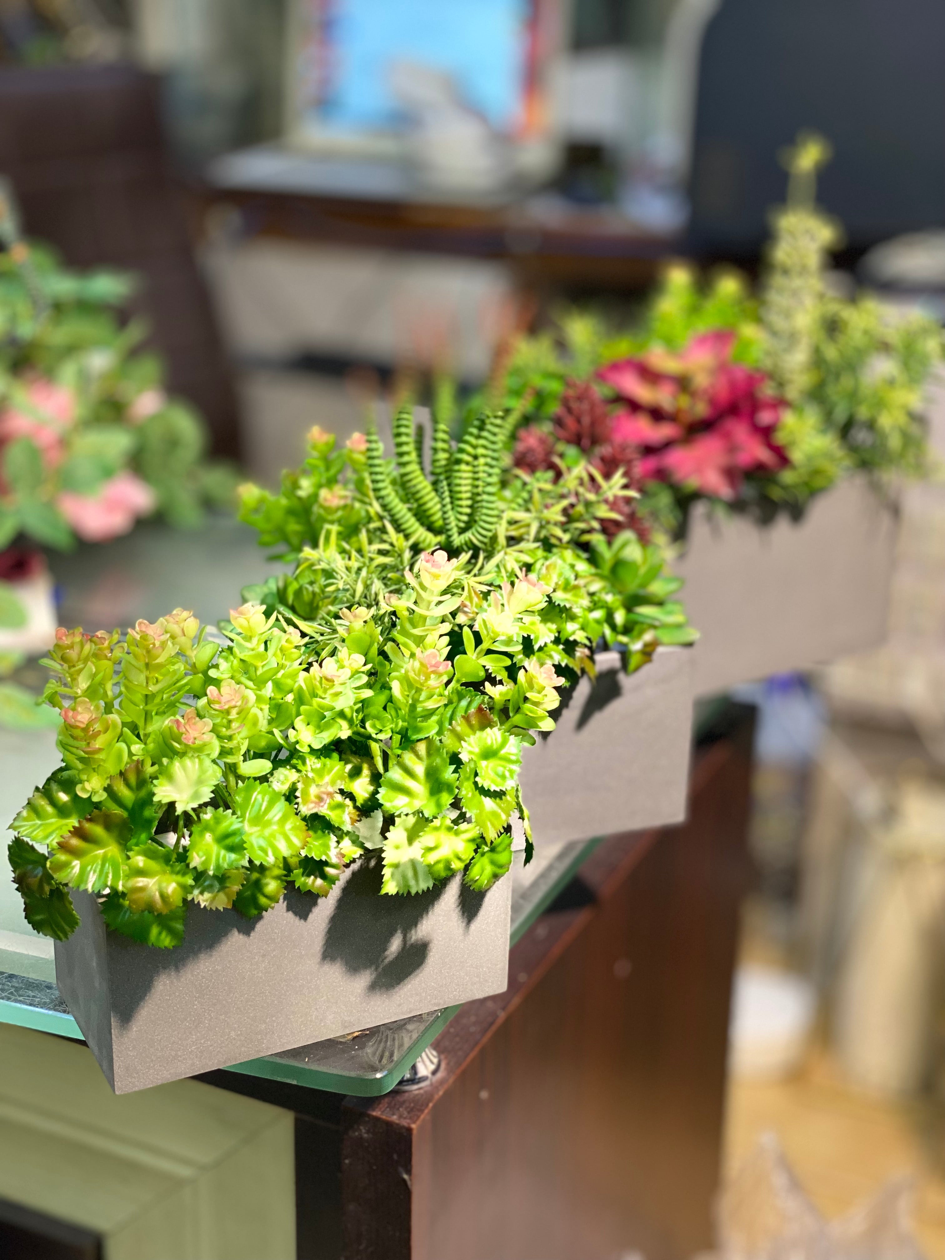 Mini small pot Arrangments