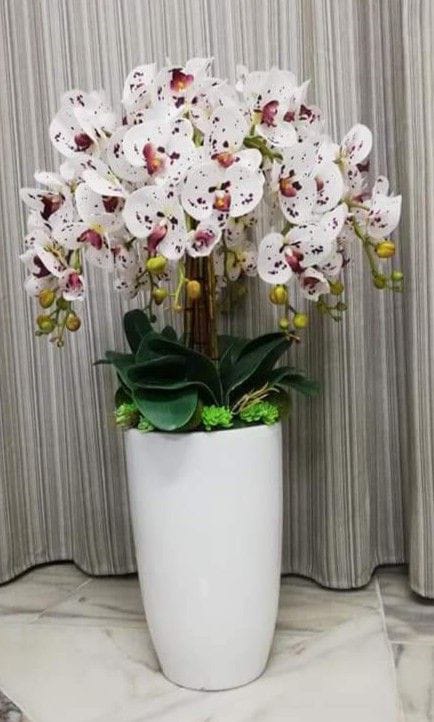 Exquisite Orchids with Long Glass shaped Planter