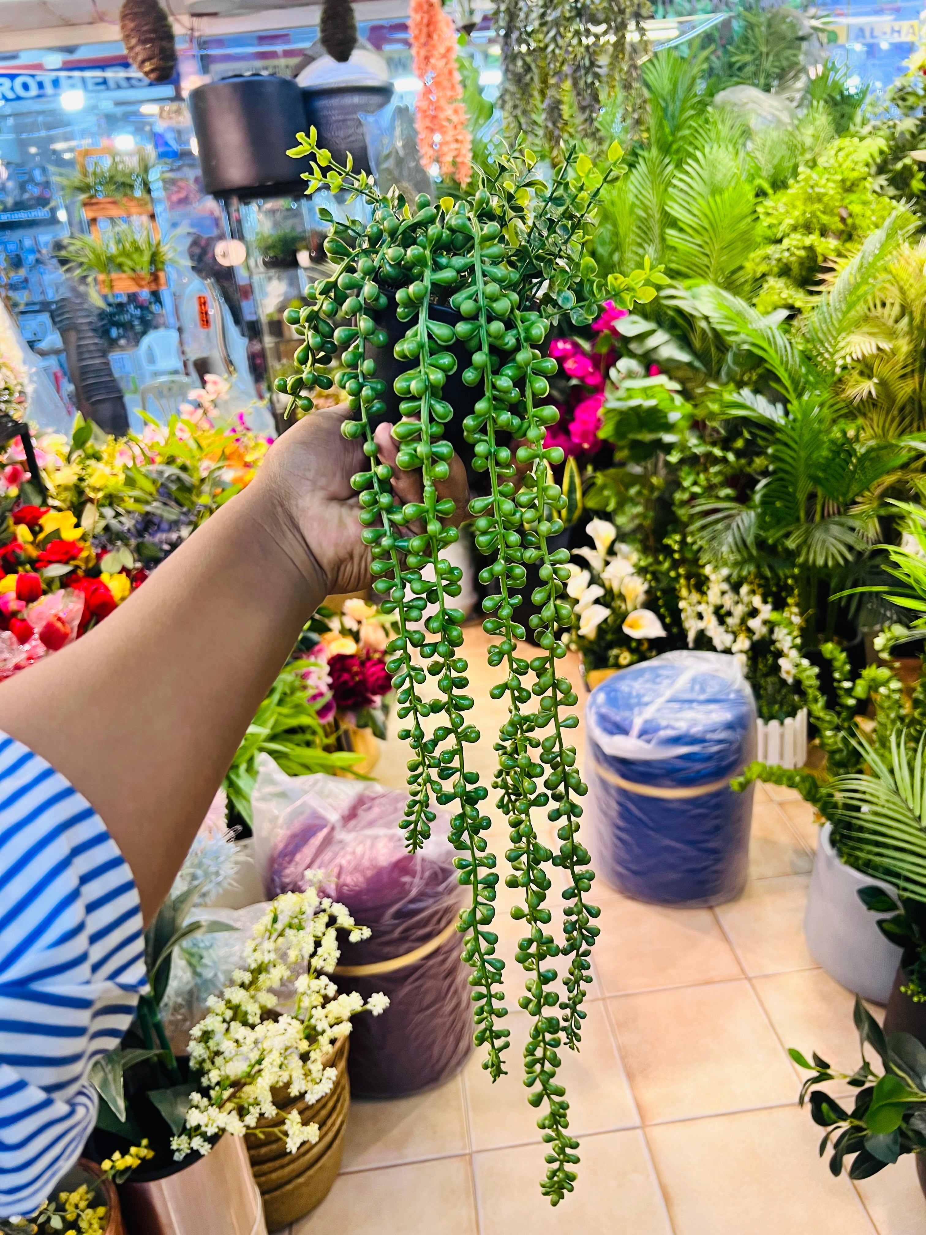 Pearls hanging pot