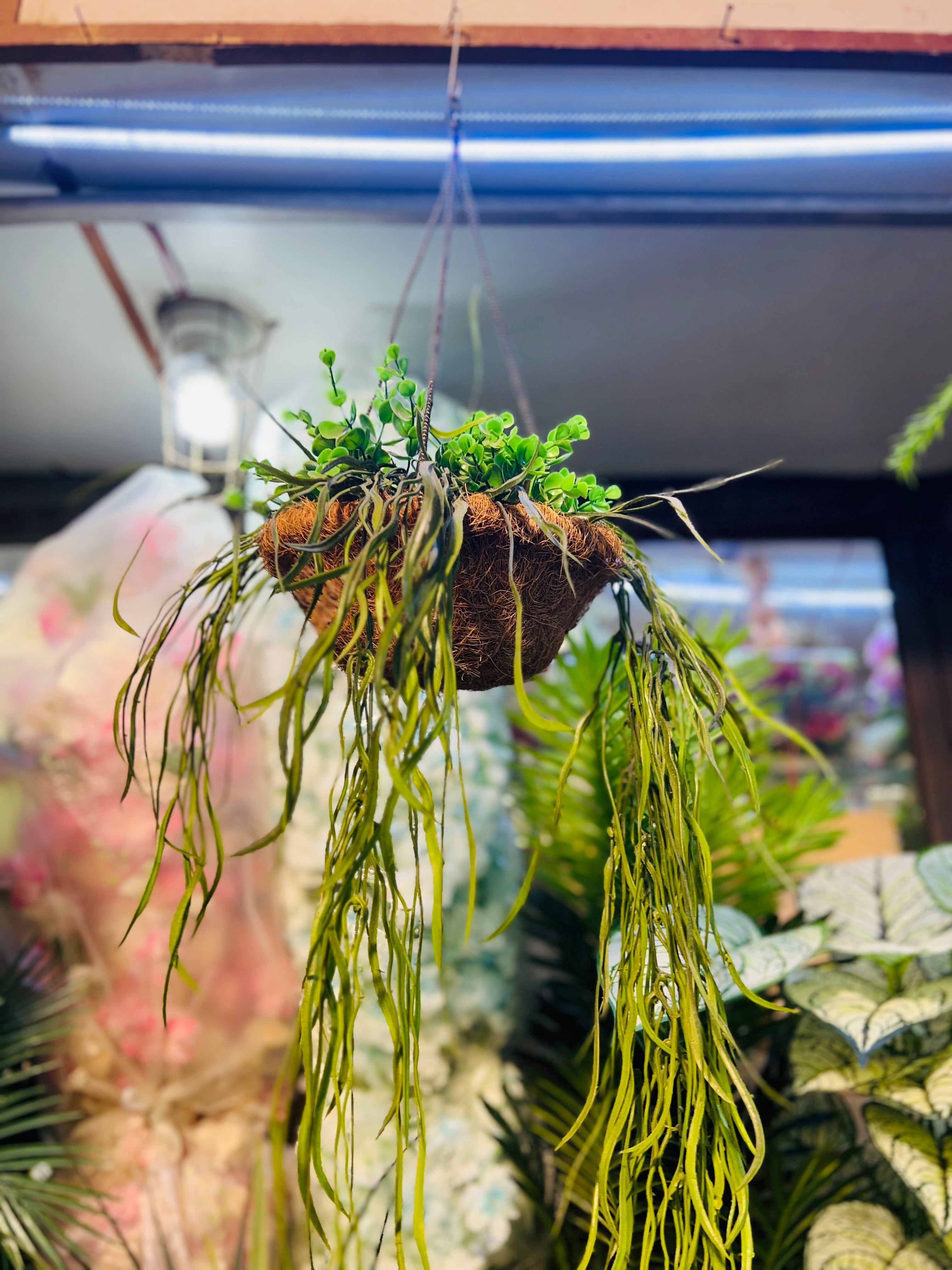 Hanging jute baskets