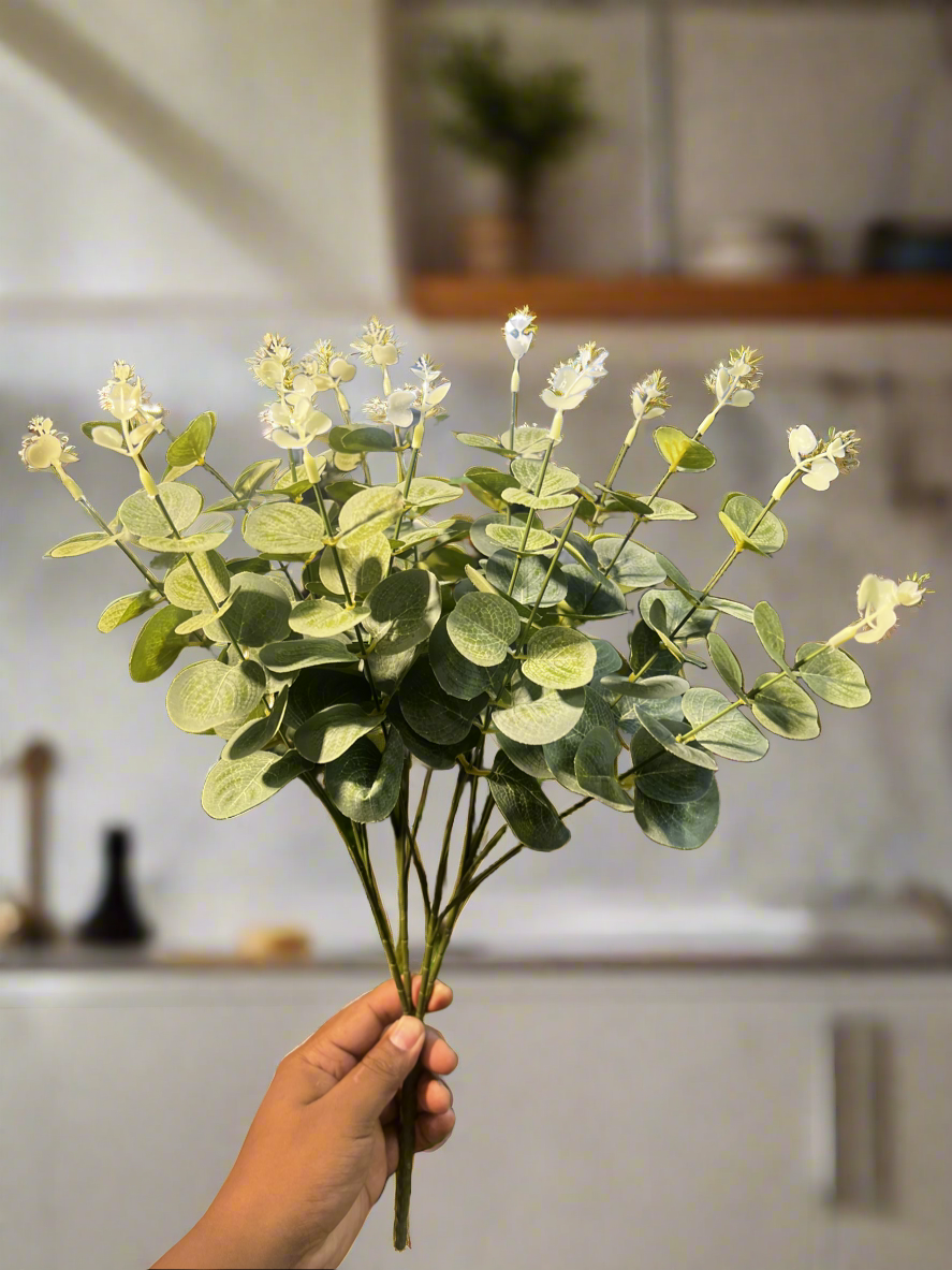 Eucalyptus bunch