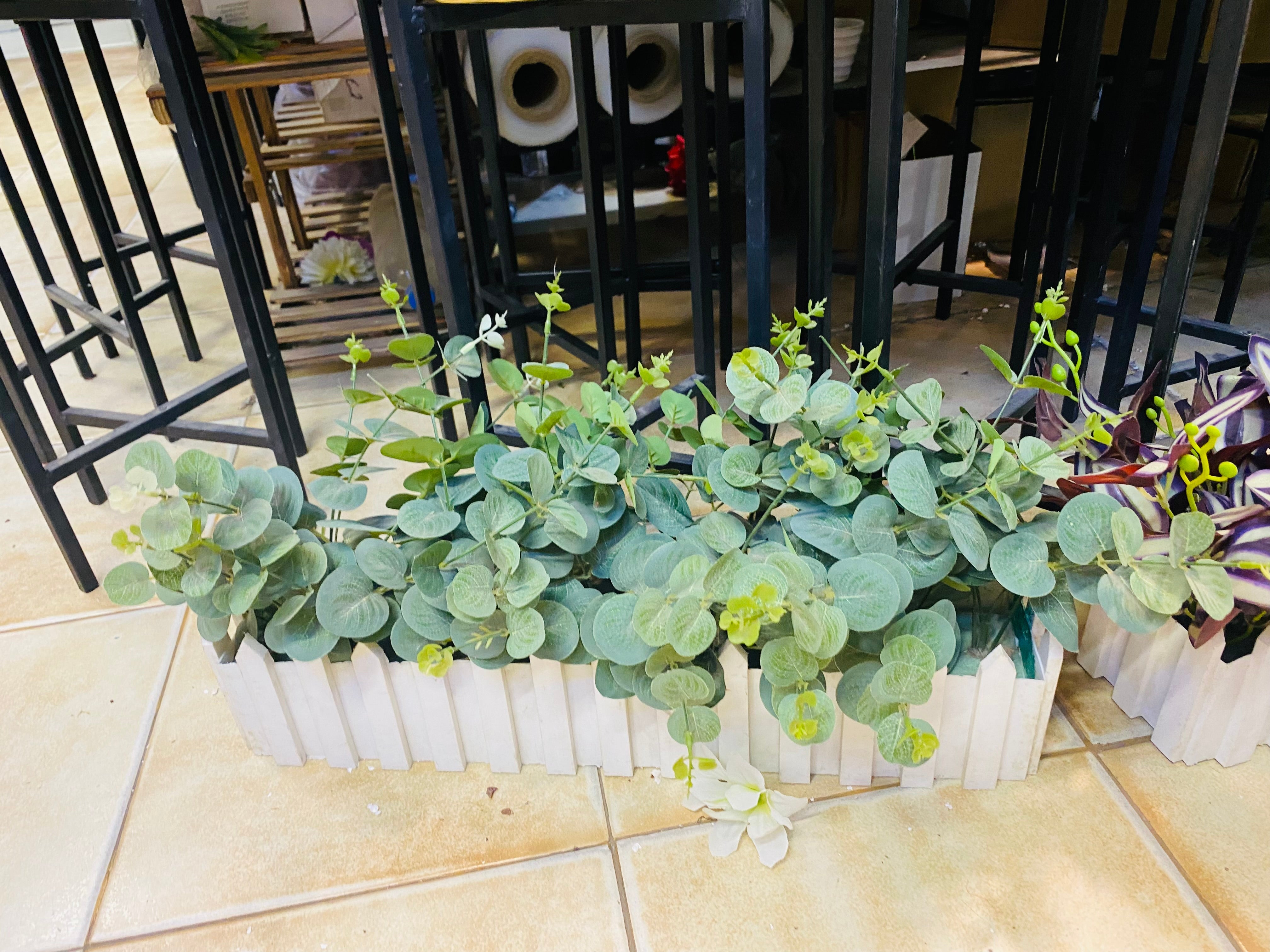 Small White Fence Arrangement