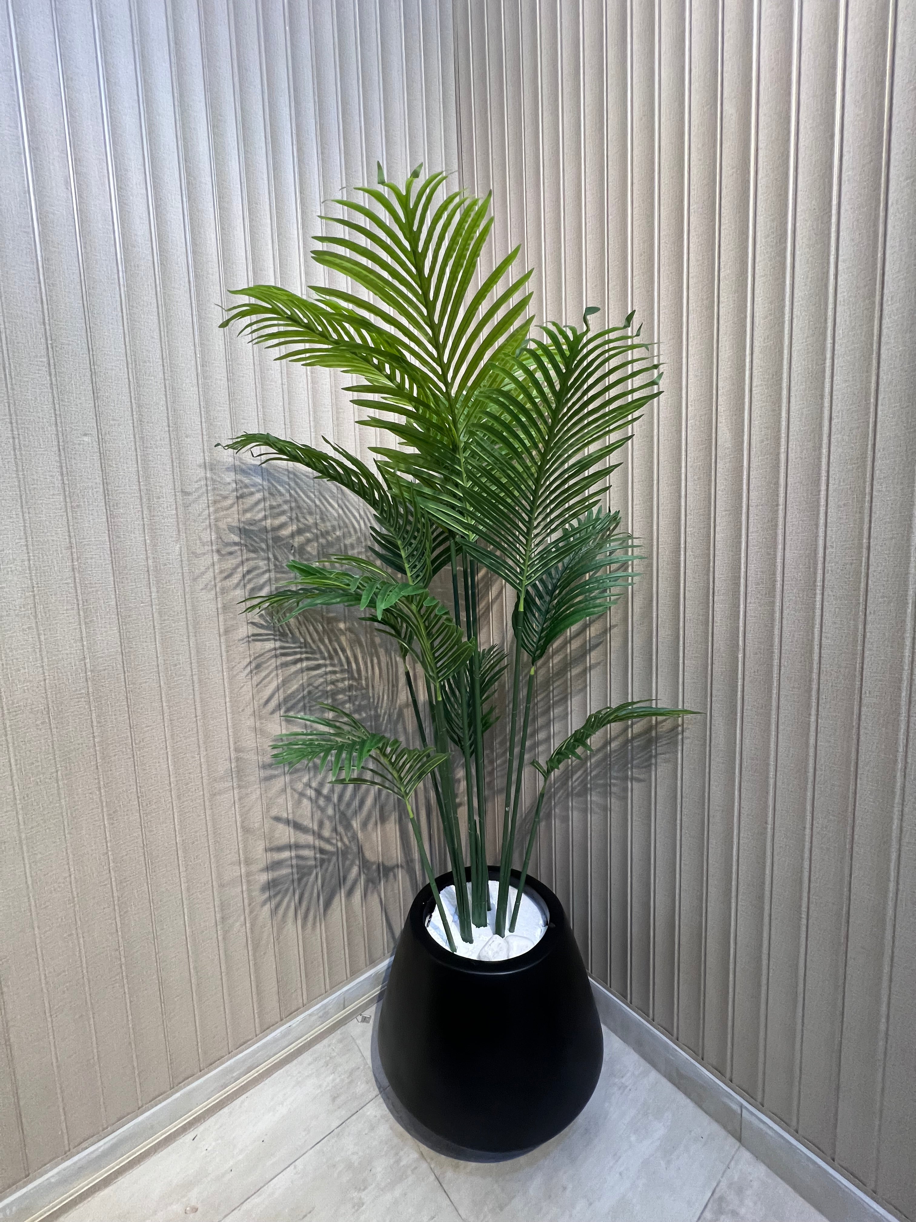 New Areca with new Planter