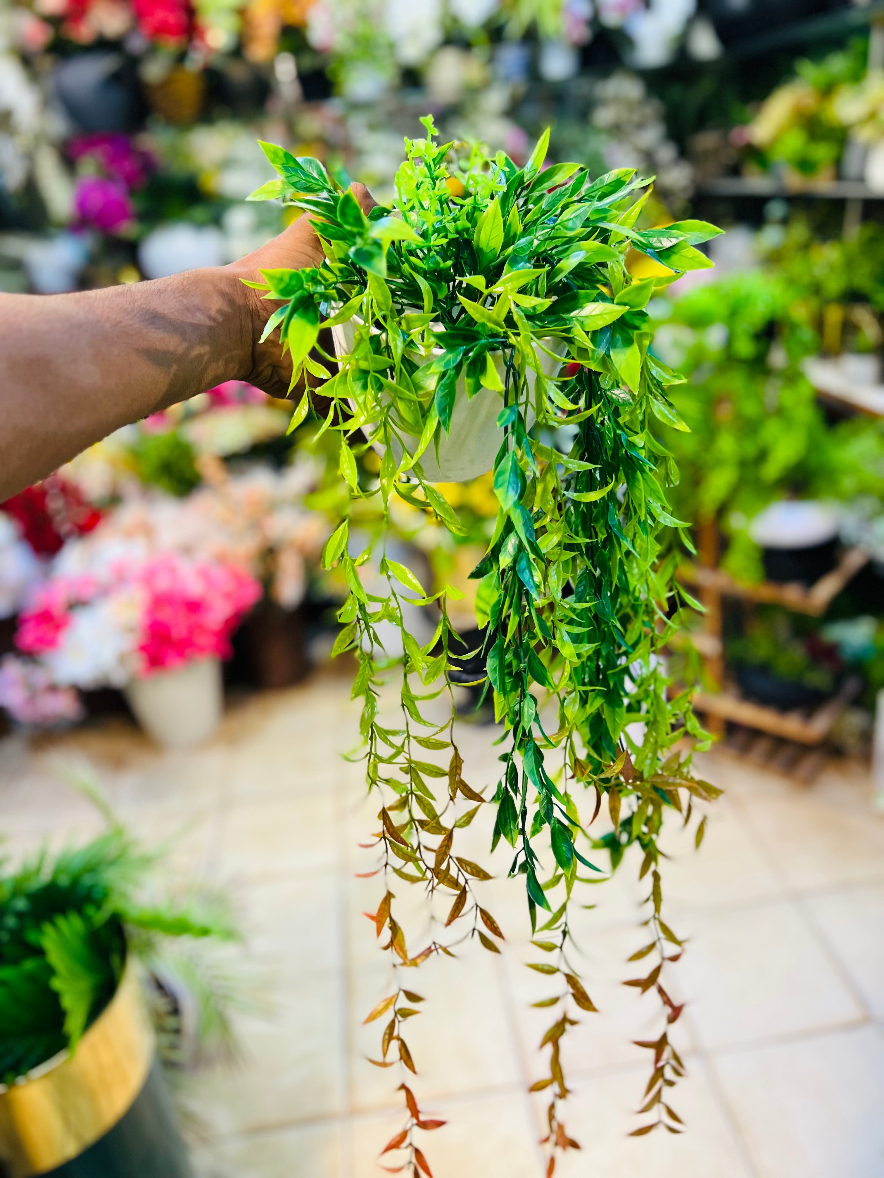 Hanging Wines With Pot