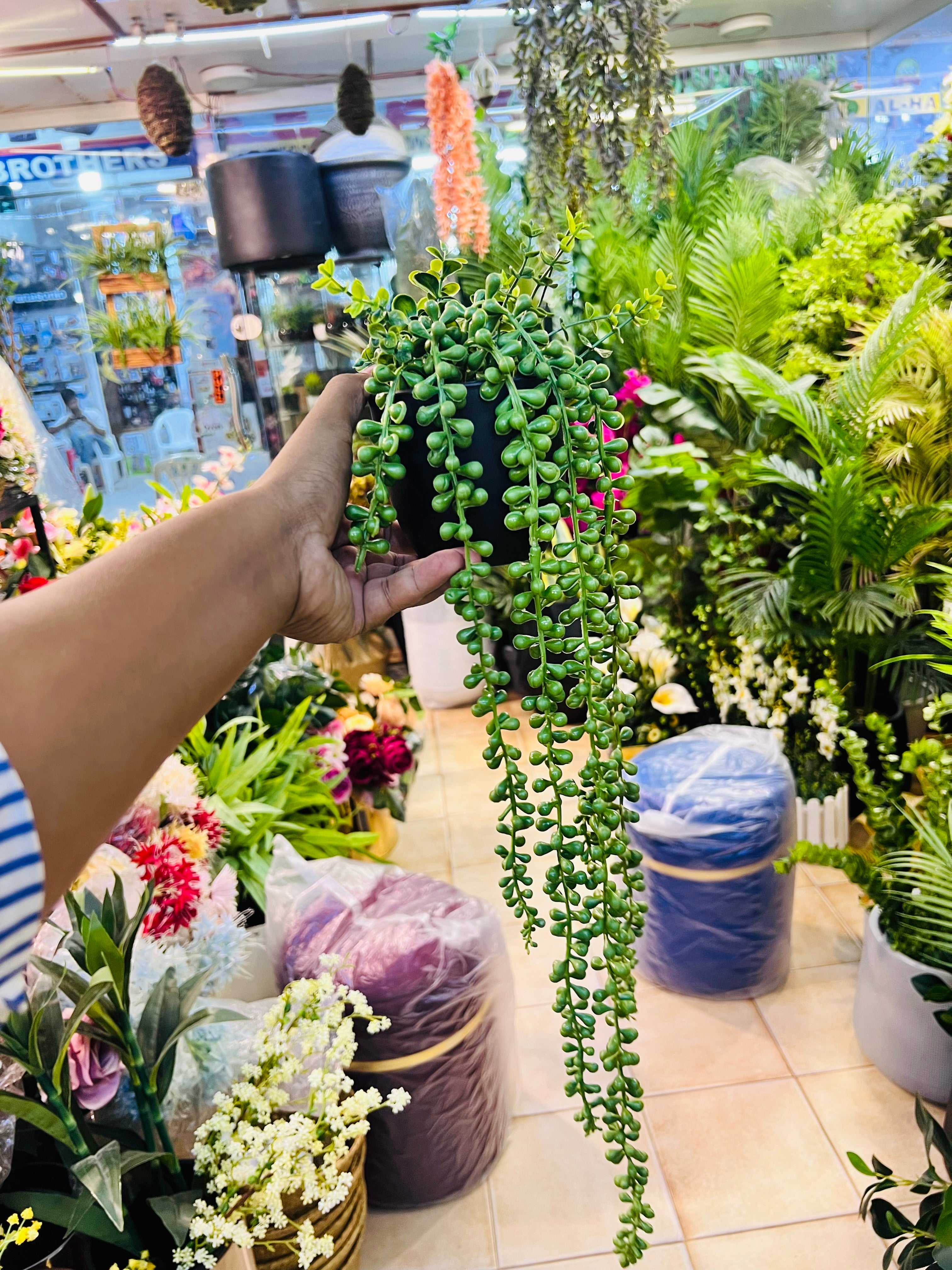 Pearls hanging pot