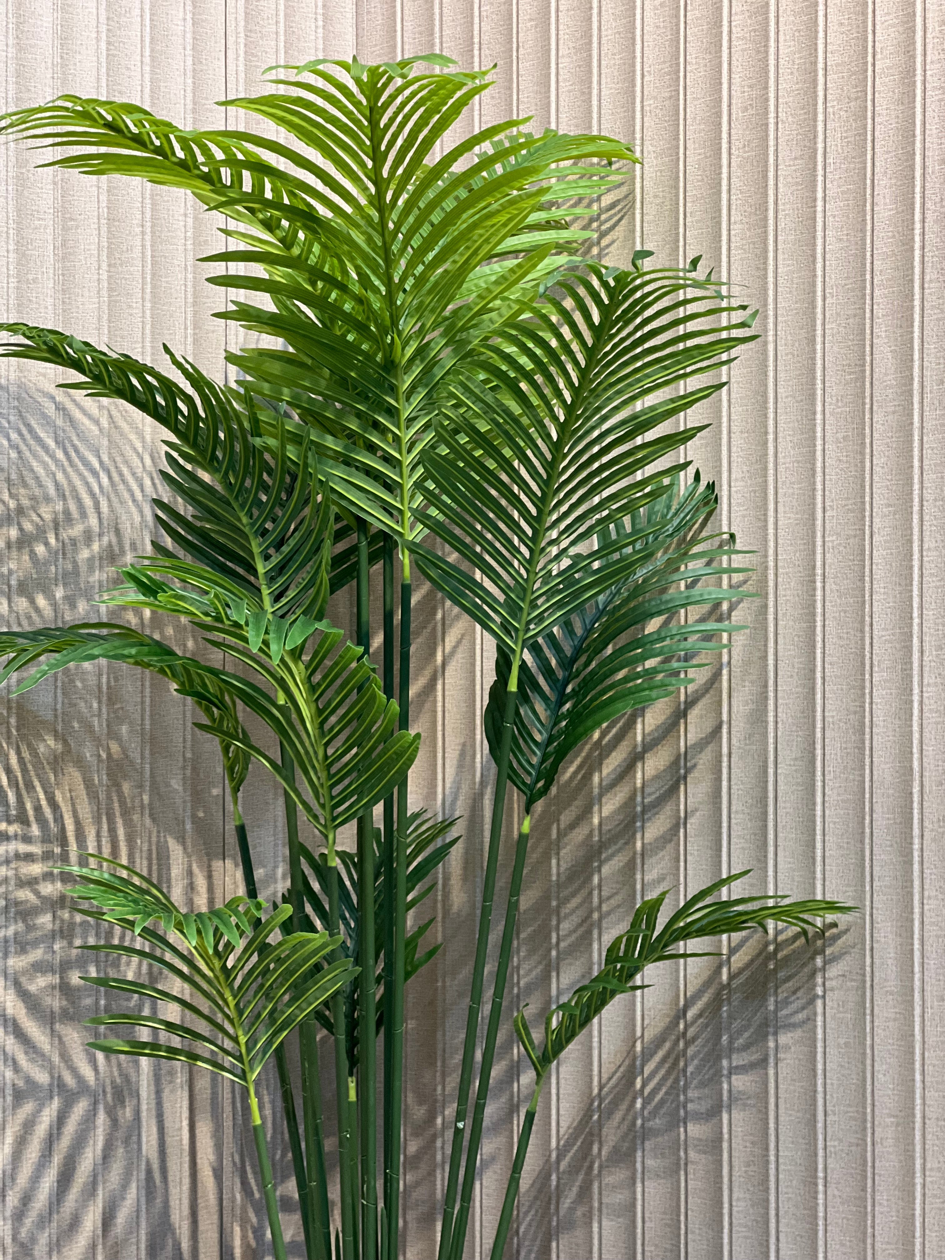 New Areca with new Planter