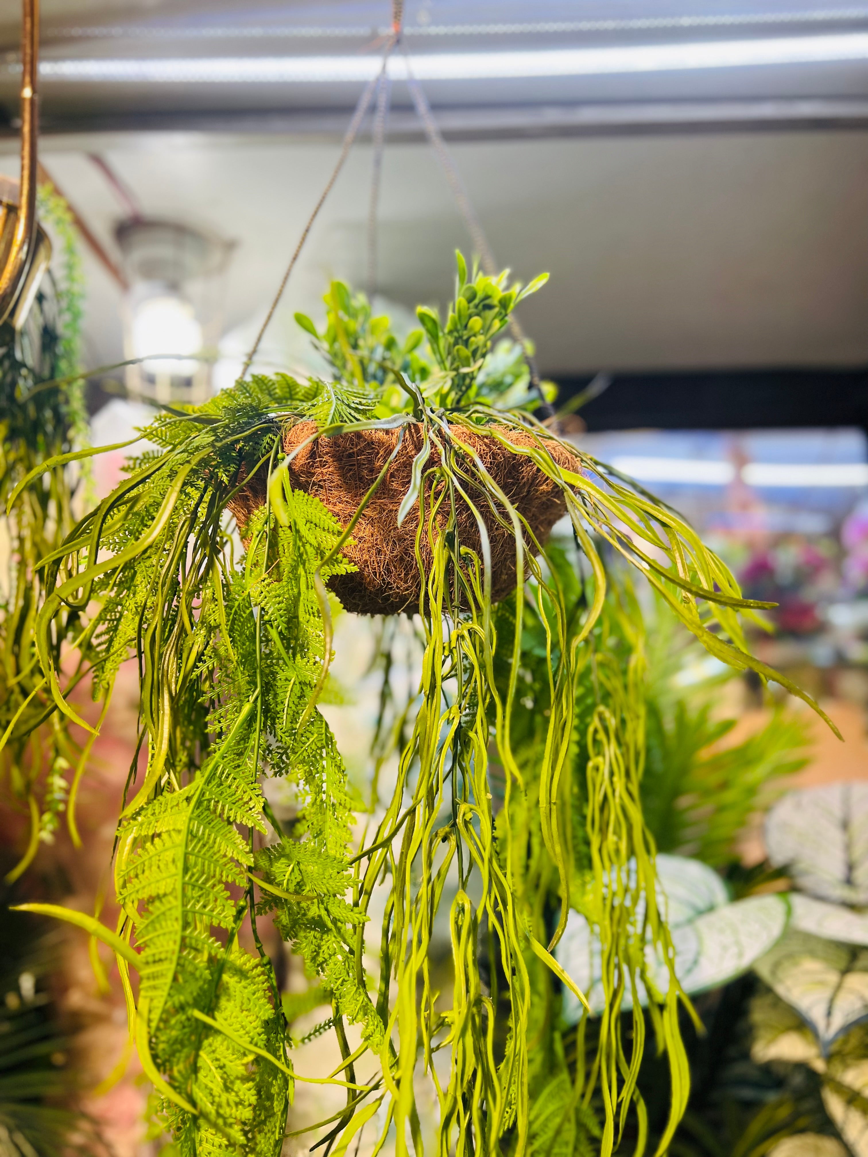 Hanging jute baskets