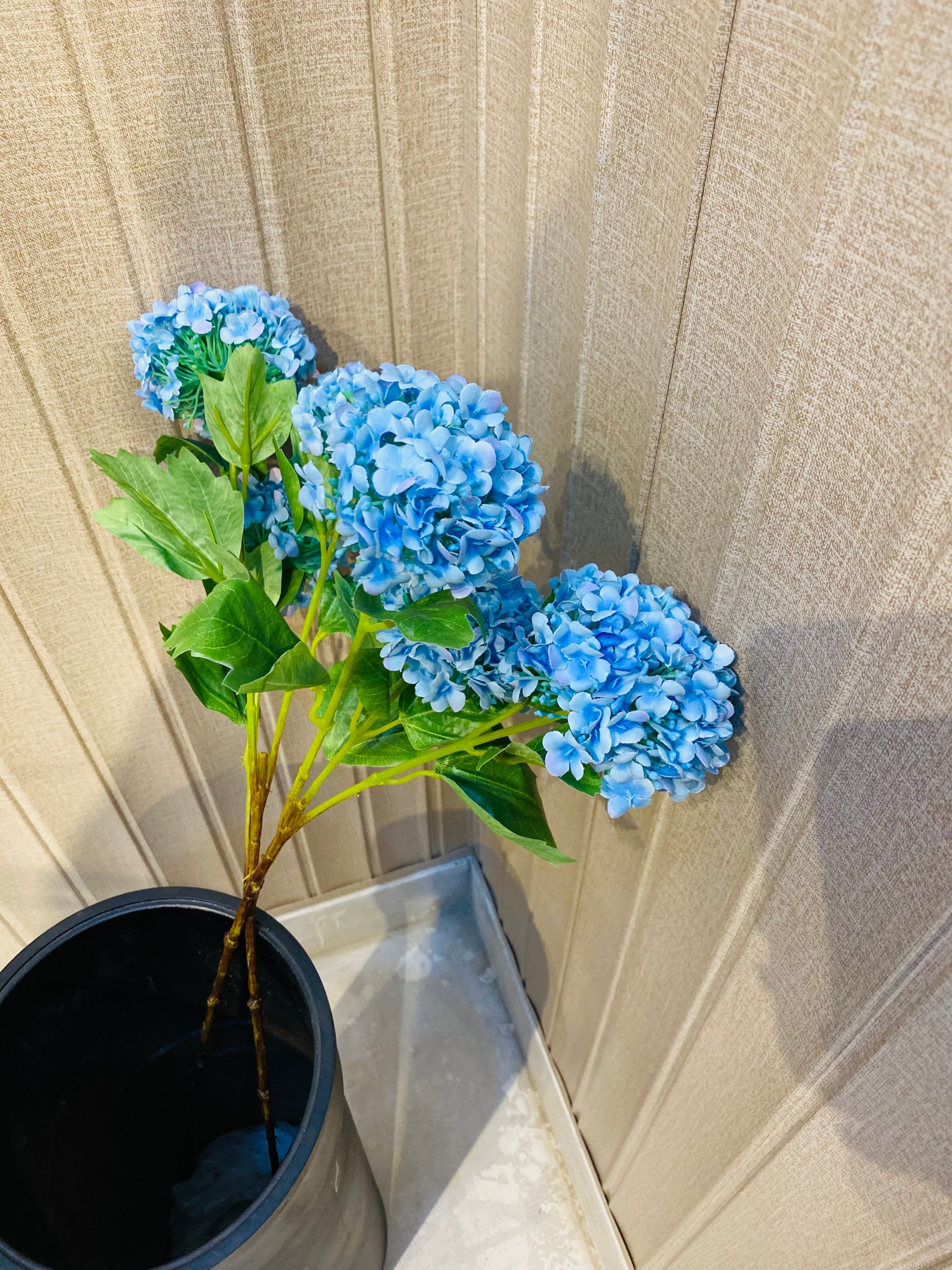 Sky blue Marigold Sticks