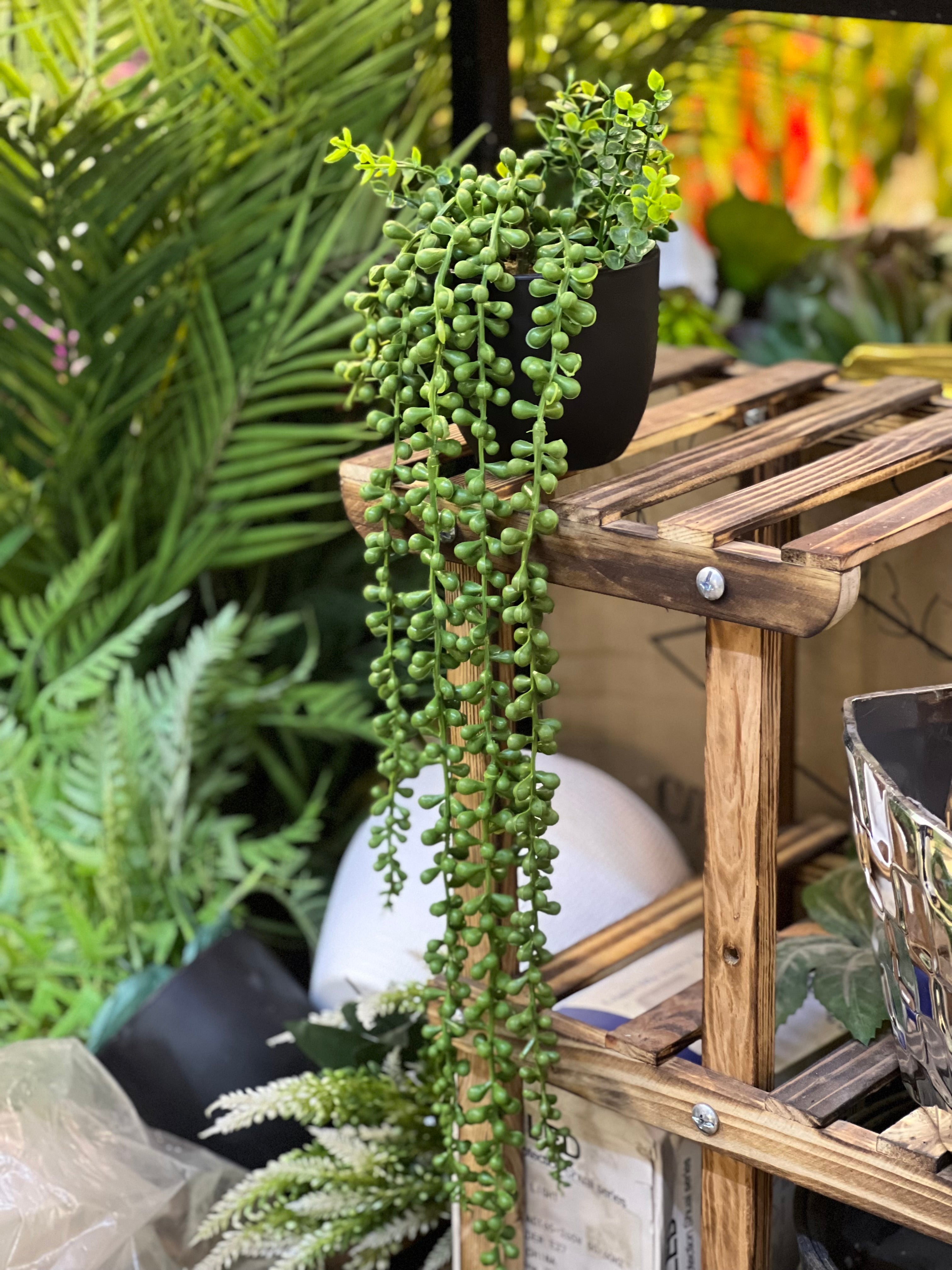 Pearls hanging pot