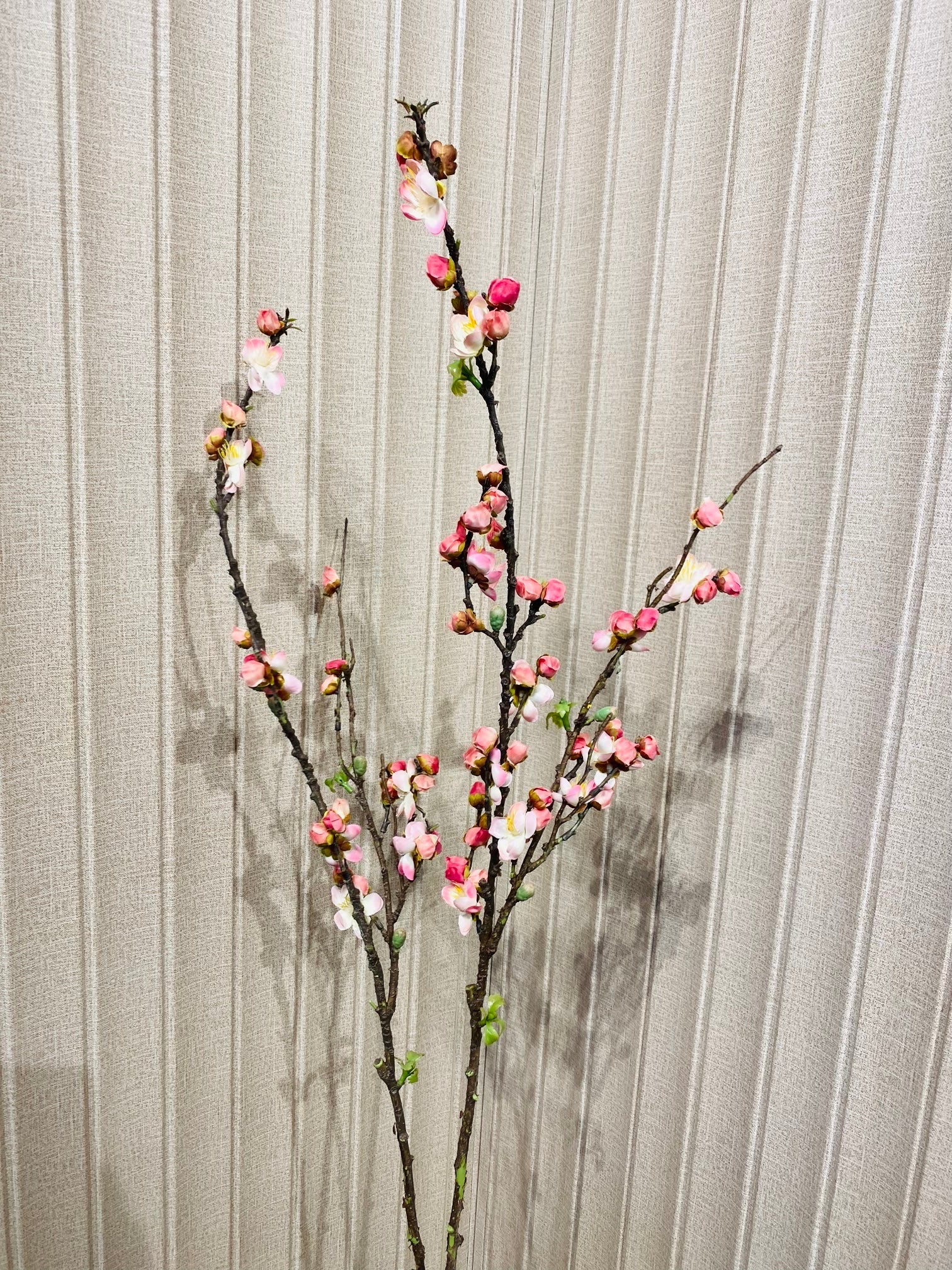 Elite Cherry blossom sticks