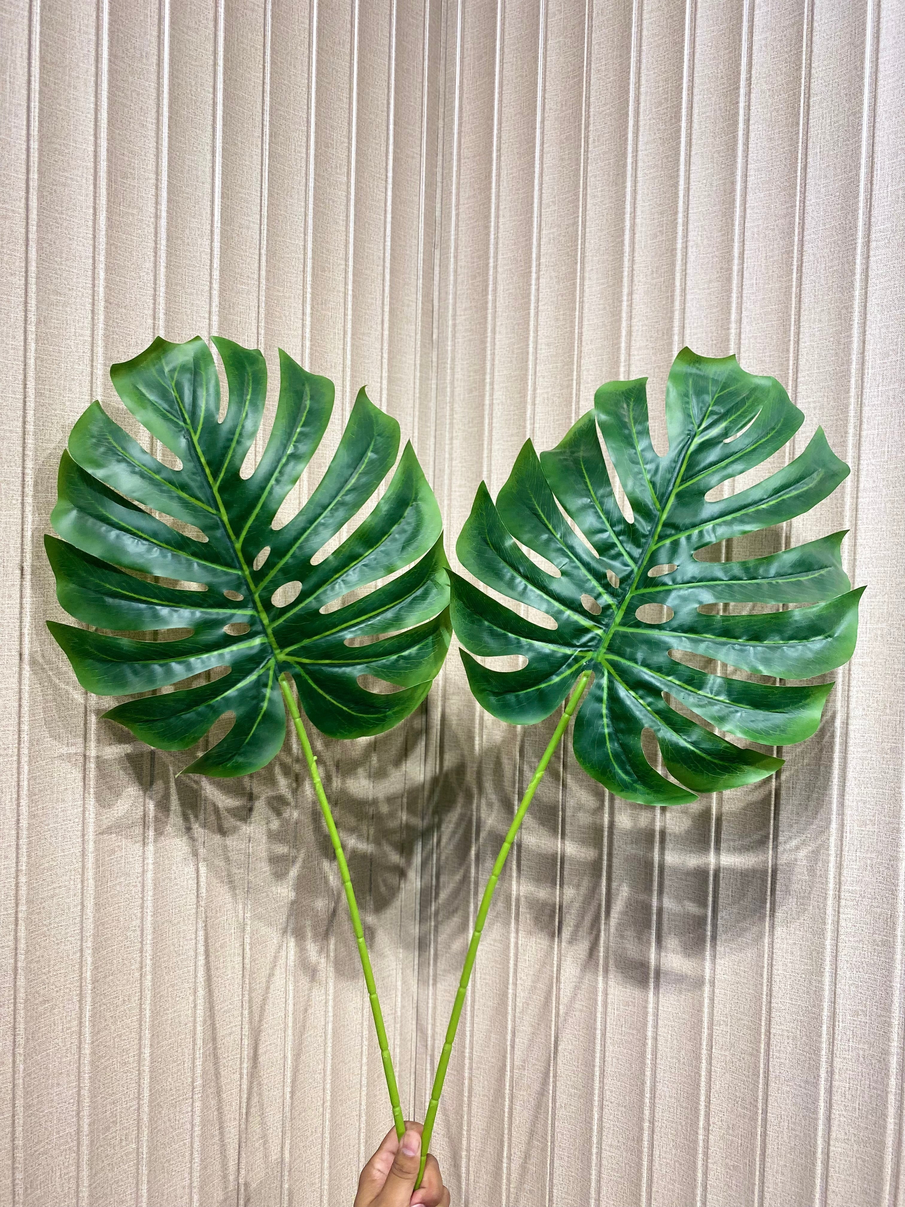 Elite monstera Leaf