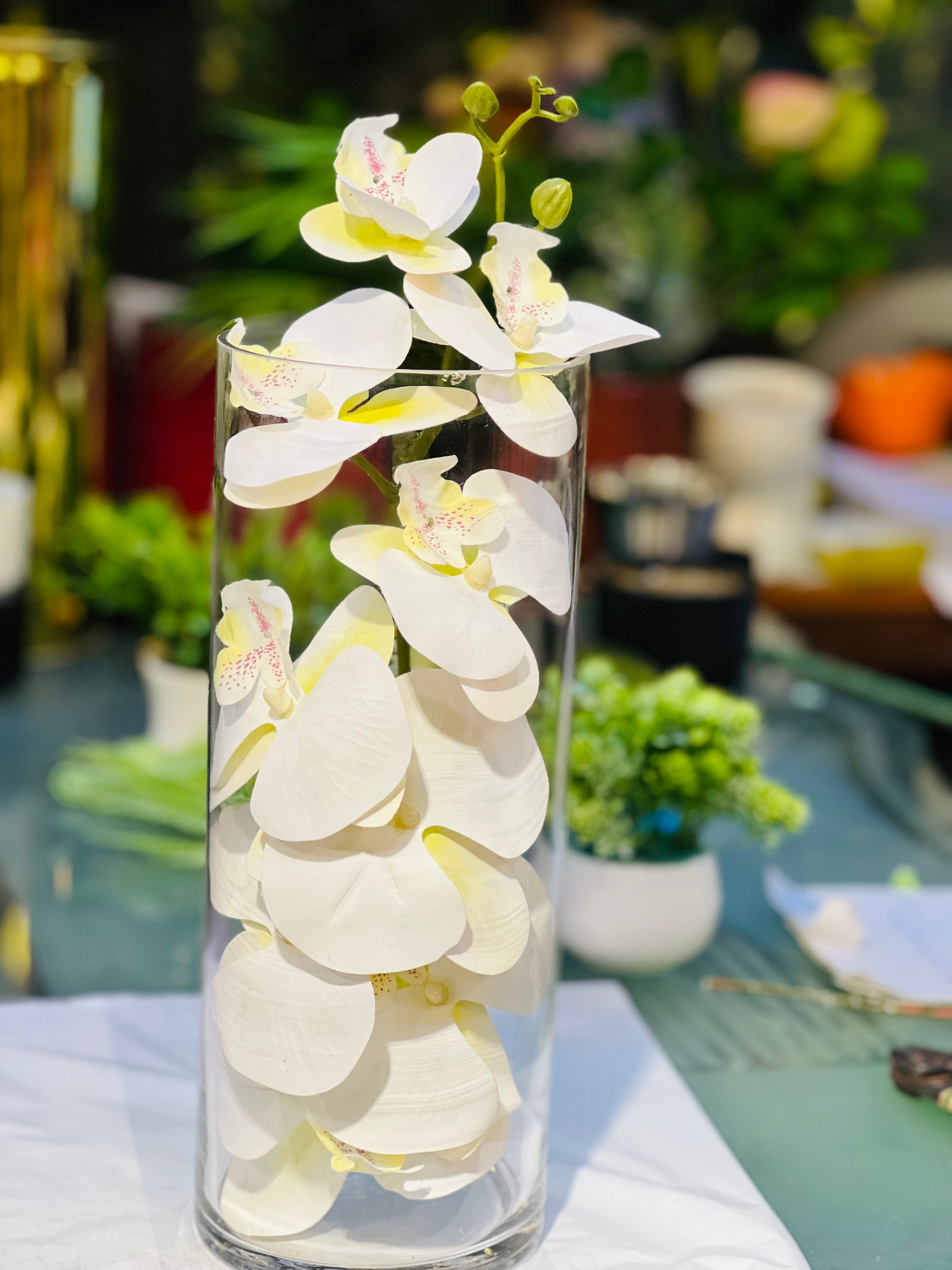 Glass cylinder with orchid