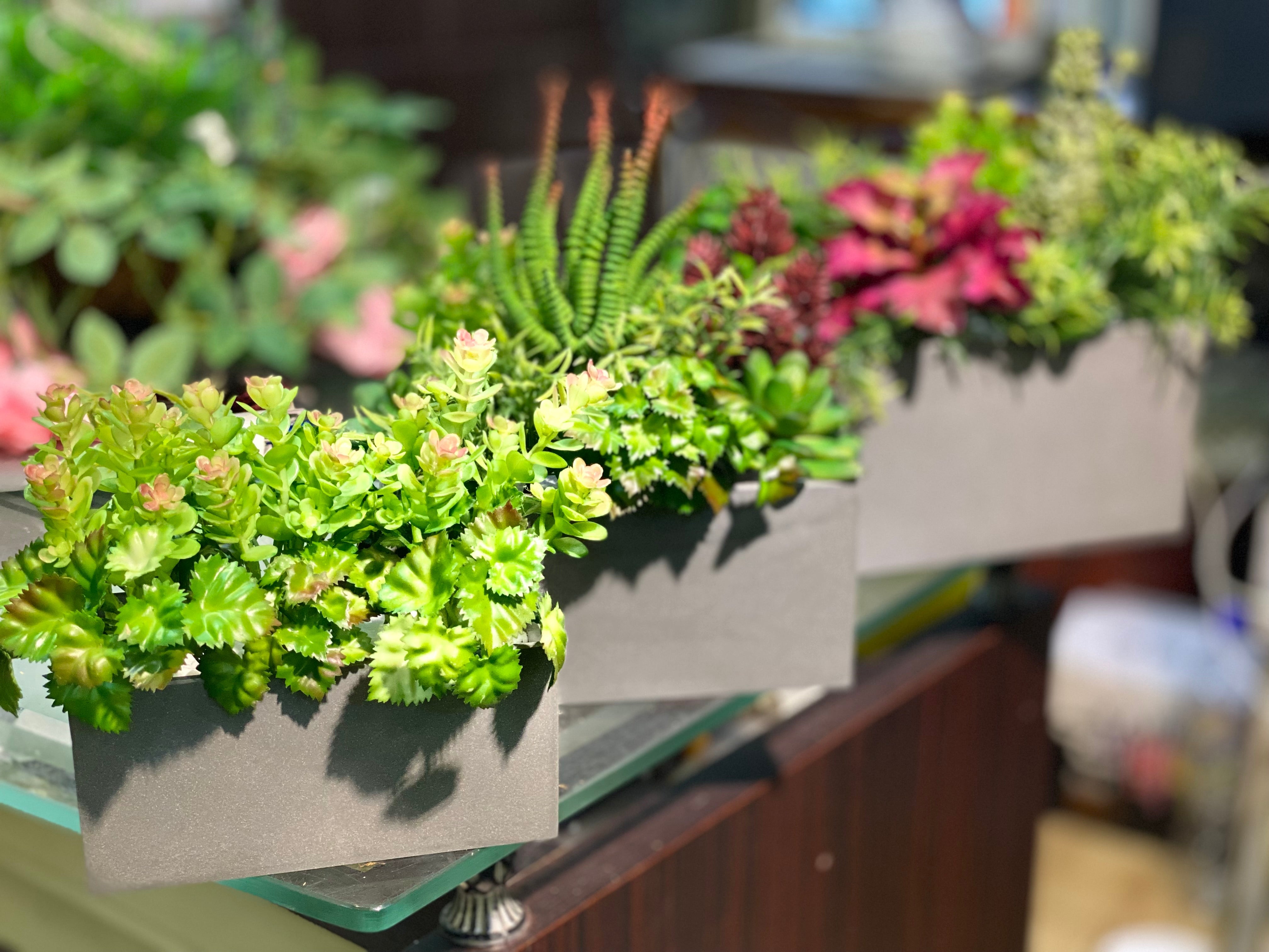 Mini small pot Arrangments