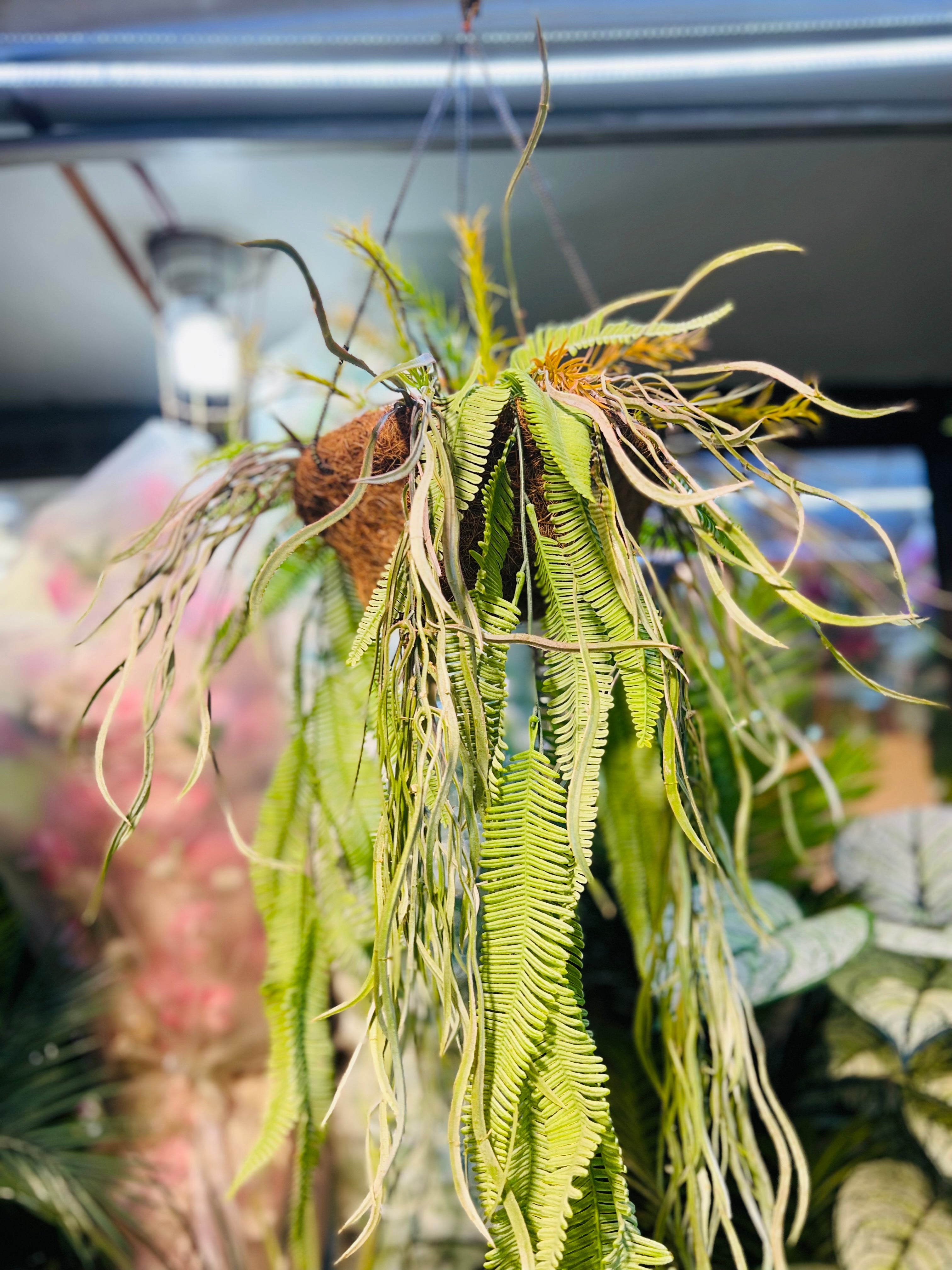 Hanging jute baskets