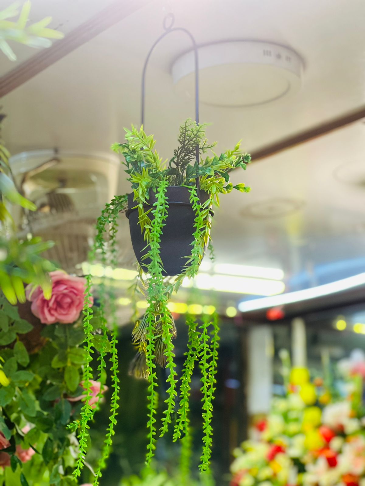 Metal pot Hanging with wines