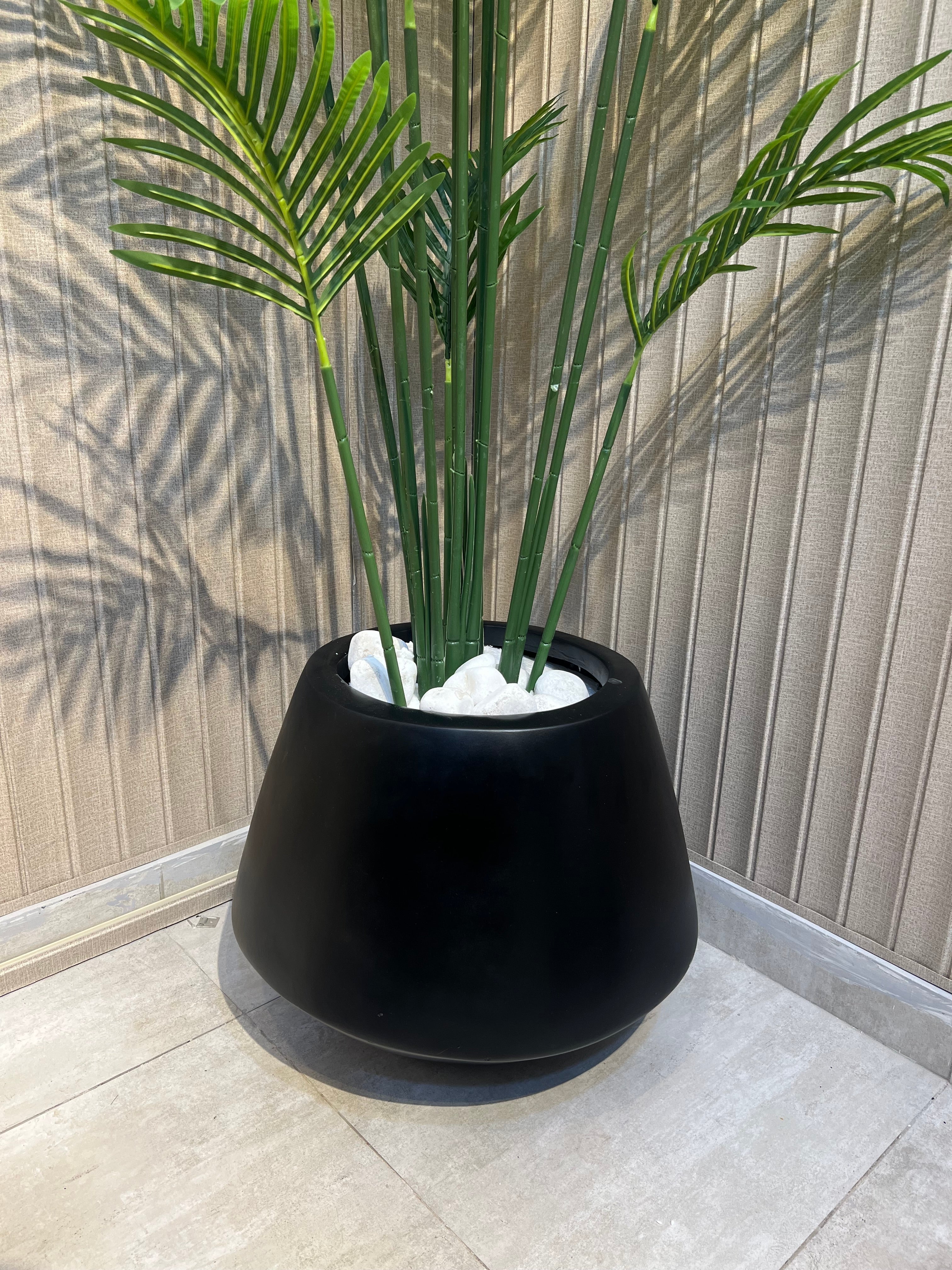 New Areca with new Planter