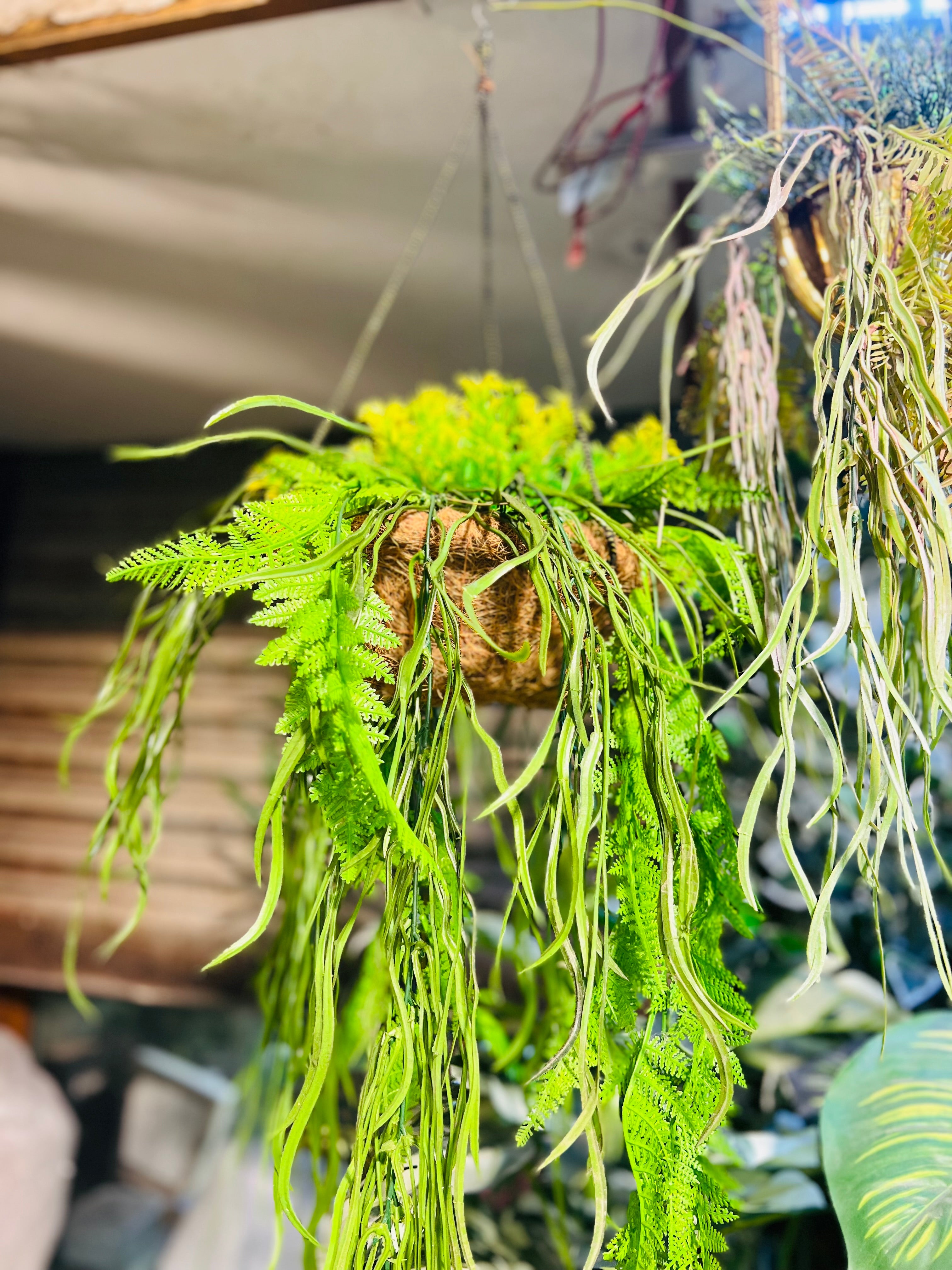 Hanging jute baskets