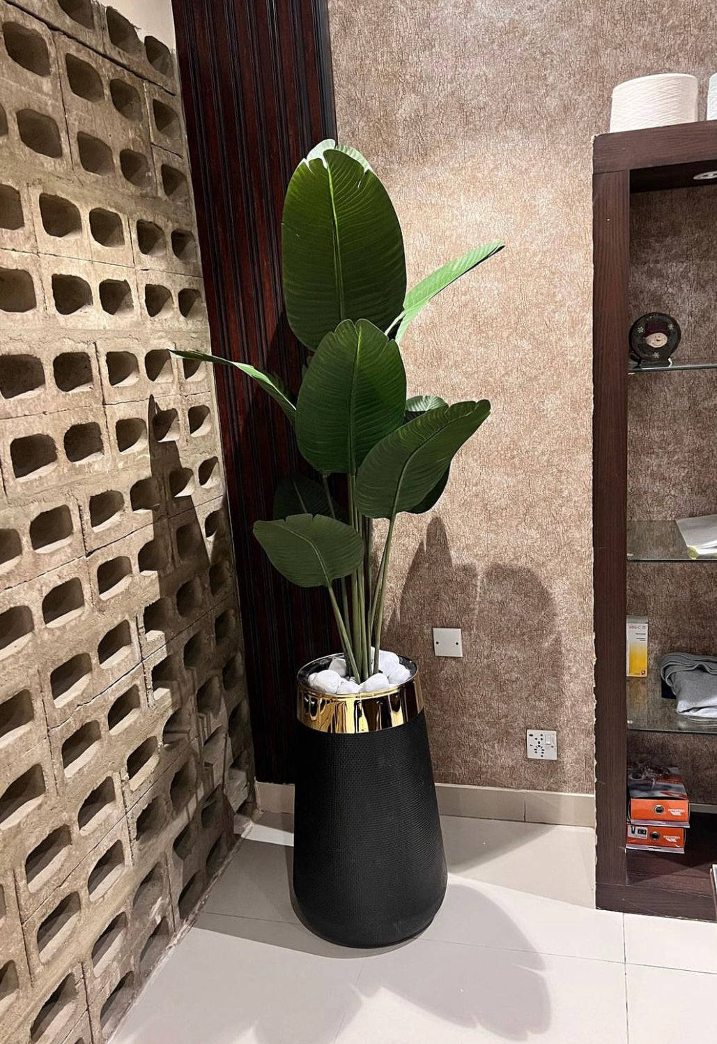 High end Banana Palm with Planter