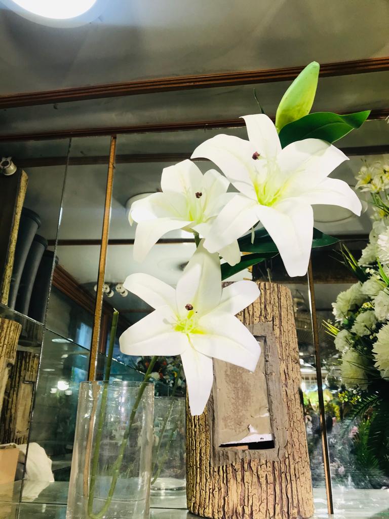 white lily 