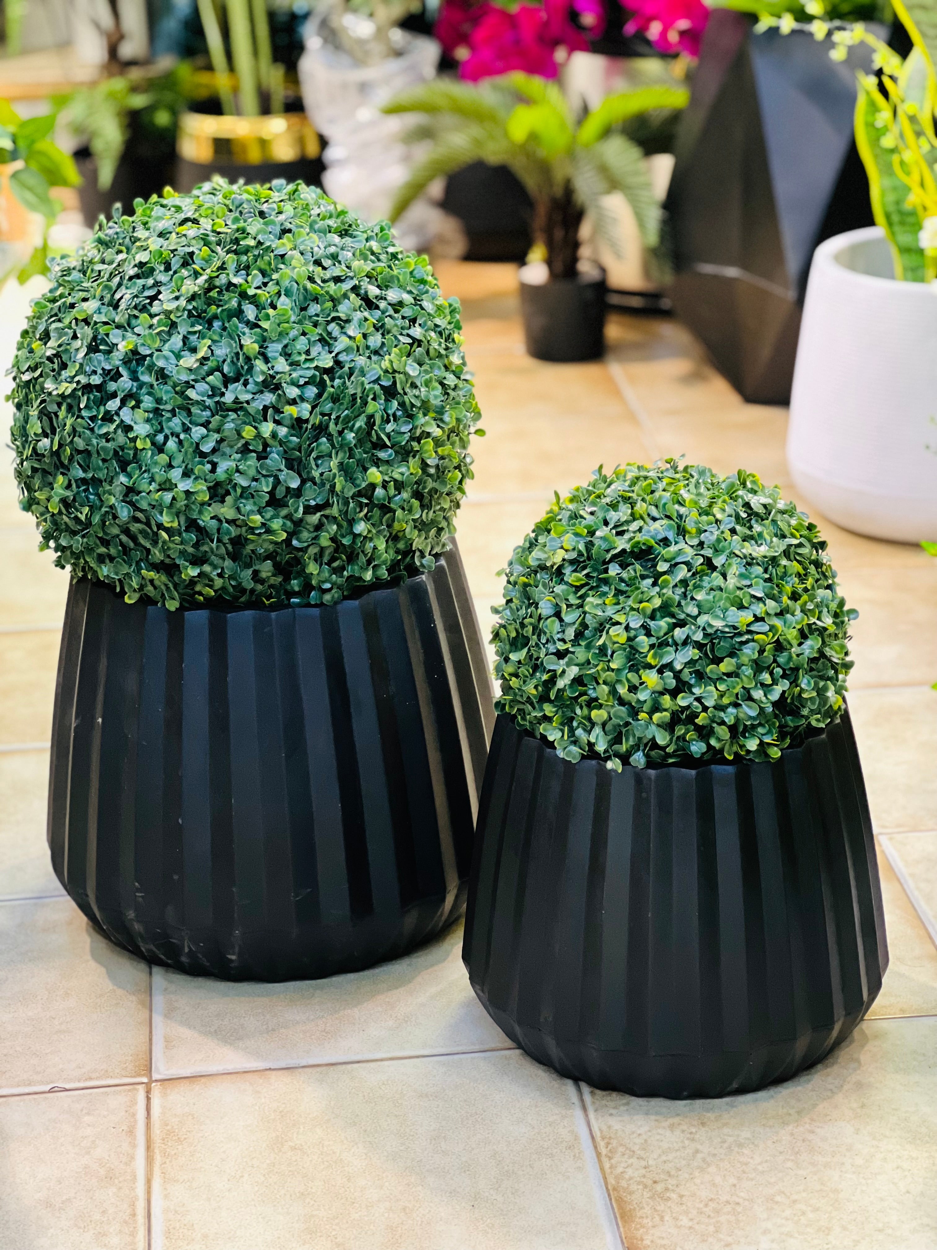 Ribbed fiber Pot With Topiary