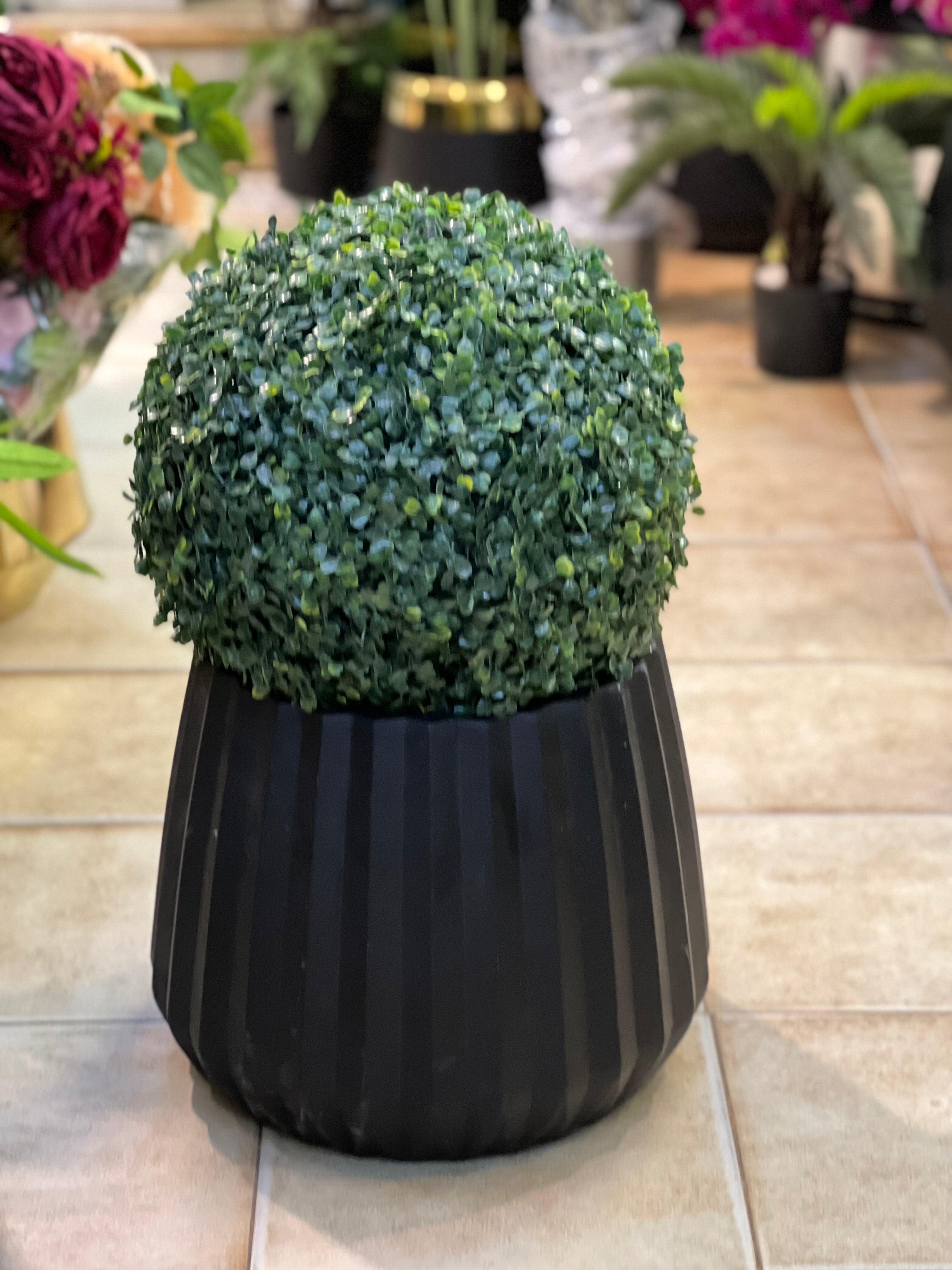 Ribbed fiber Pot With Topiary