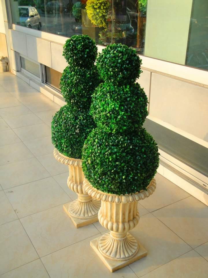 Exclusive Topiaries