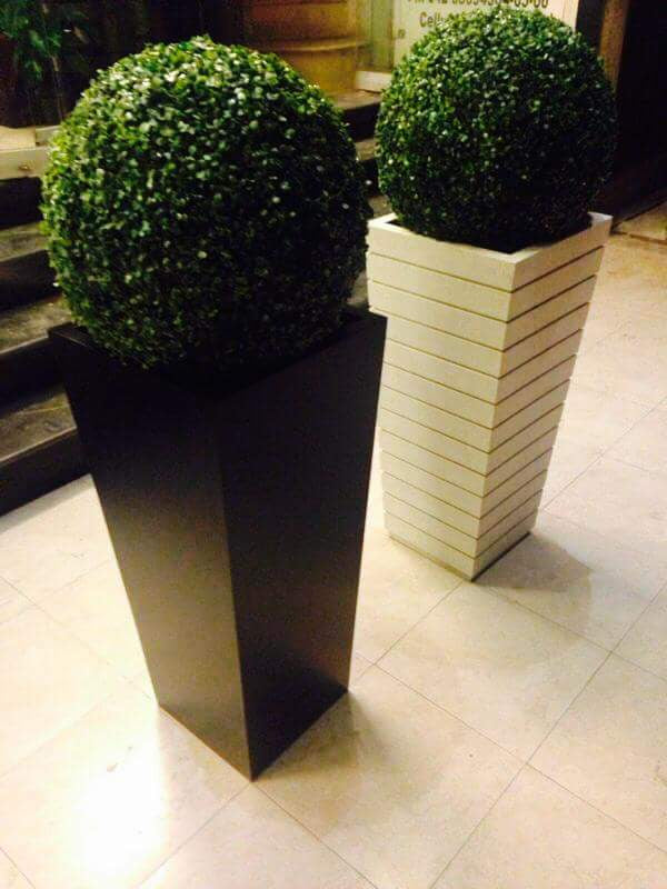 Exclusive Topiaries