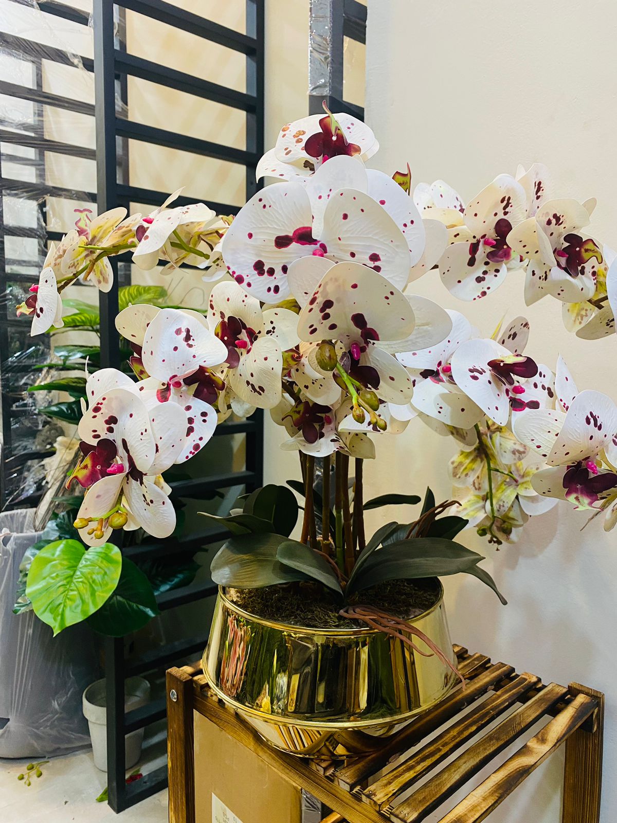 Purple Orchid With Golden Pot